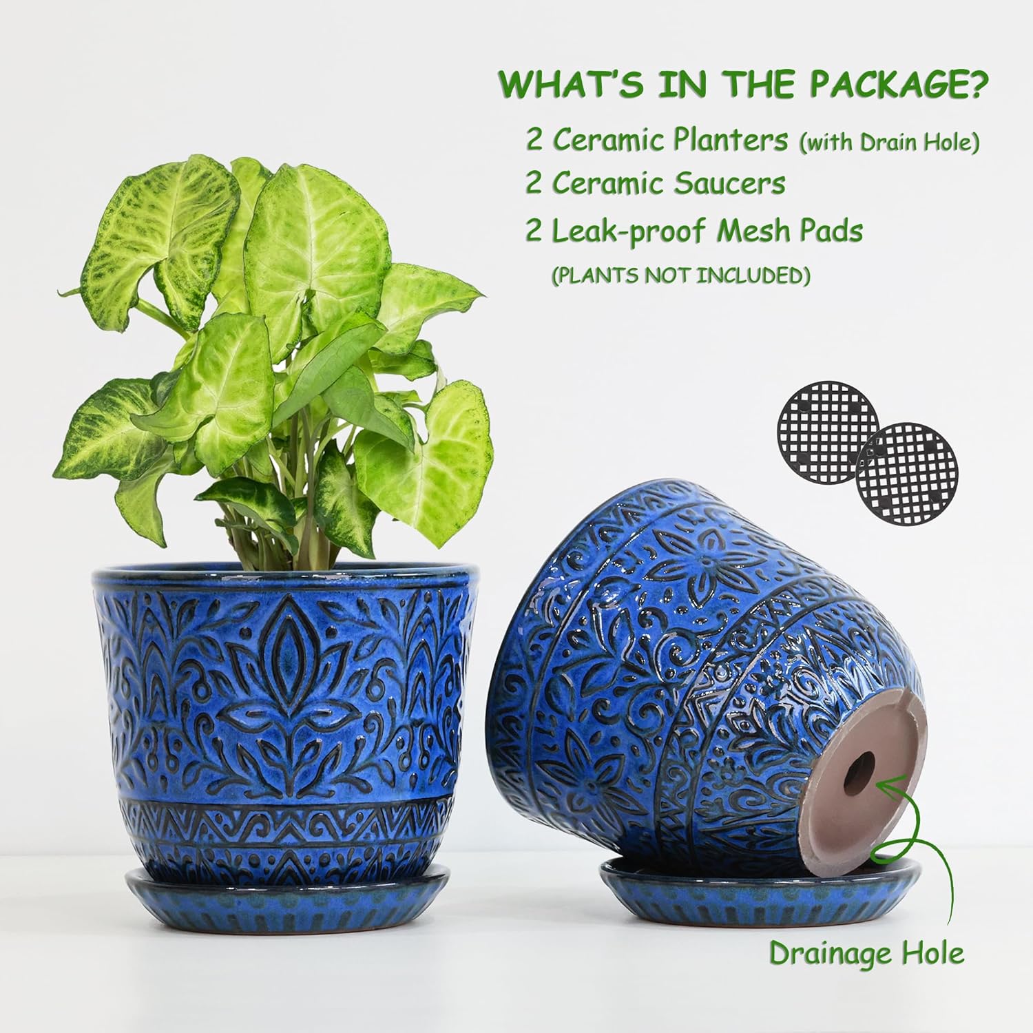 Gepege Ceramic Plant Pots, 6 Inch Indoor Planters with Drainage & Saucers