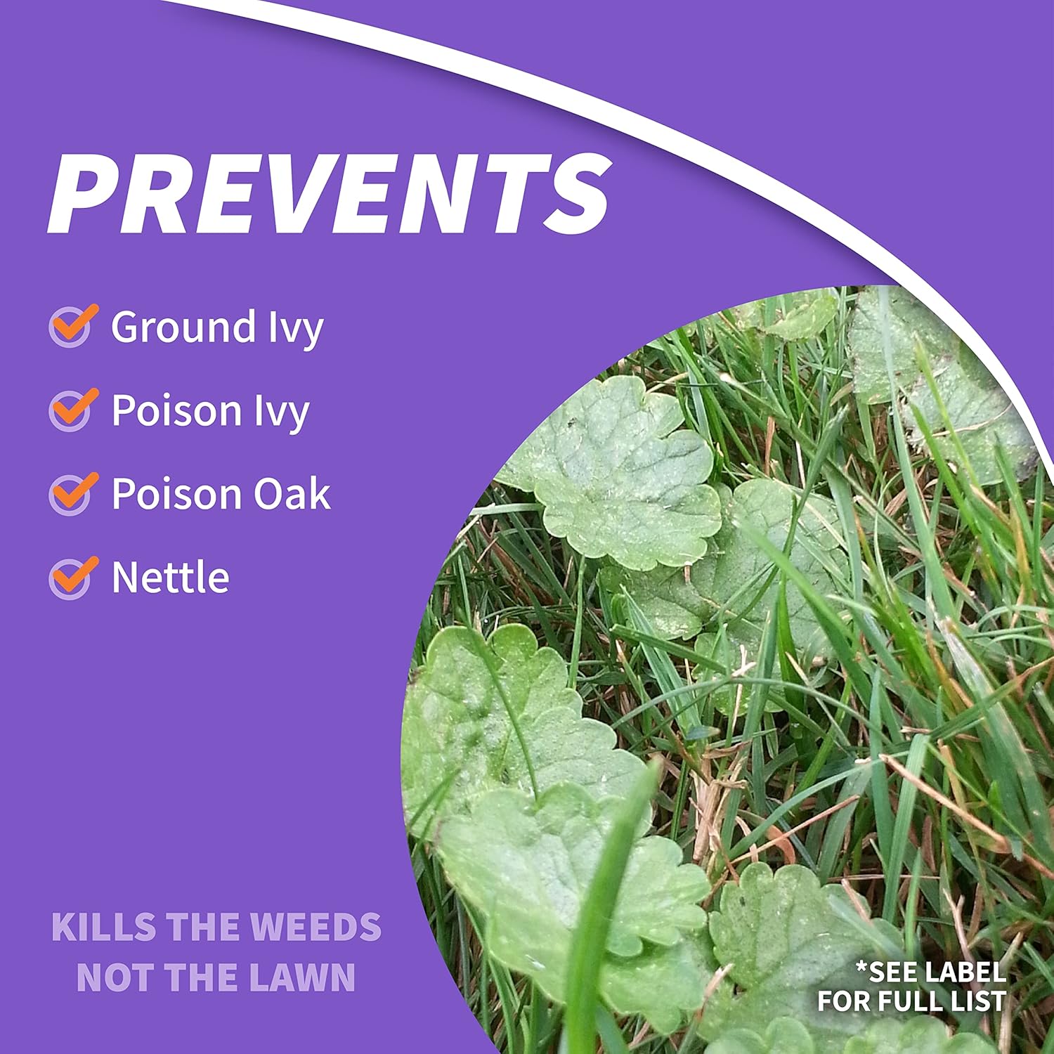 Bonide Poison Oak & Ivy Killer, 32 oz Ready-to-Use Spray | For Home Gardening, Fast-Acting Formula, Kills the Roots
