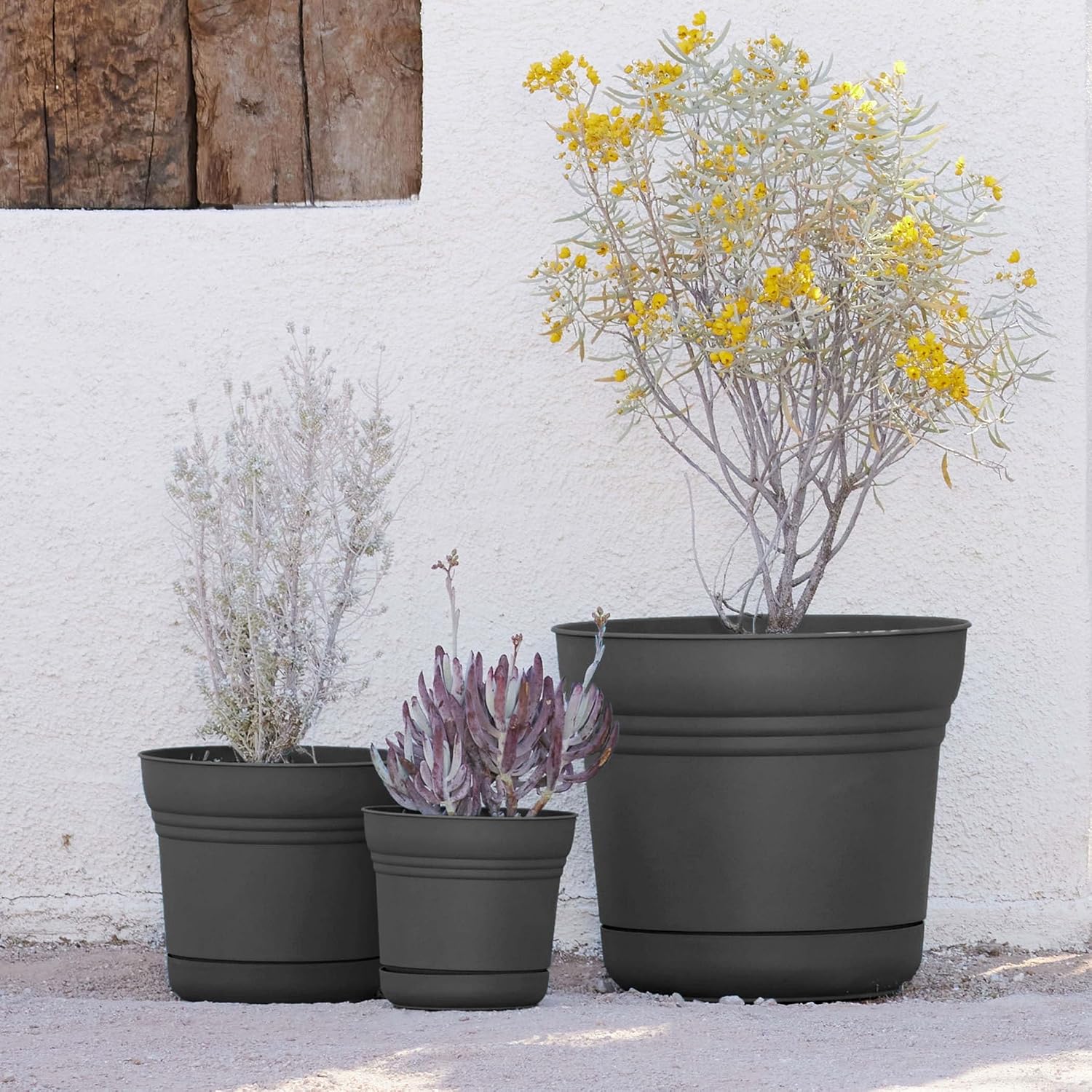 Bloem Saturn Planter with Saucer, 10", Calypso (SP1027)