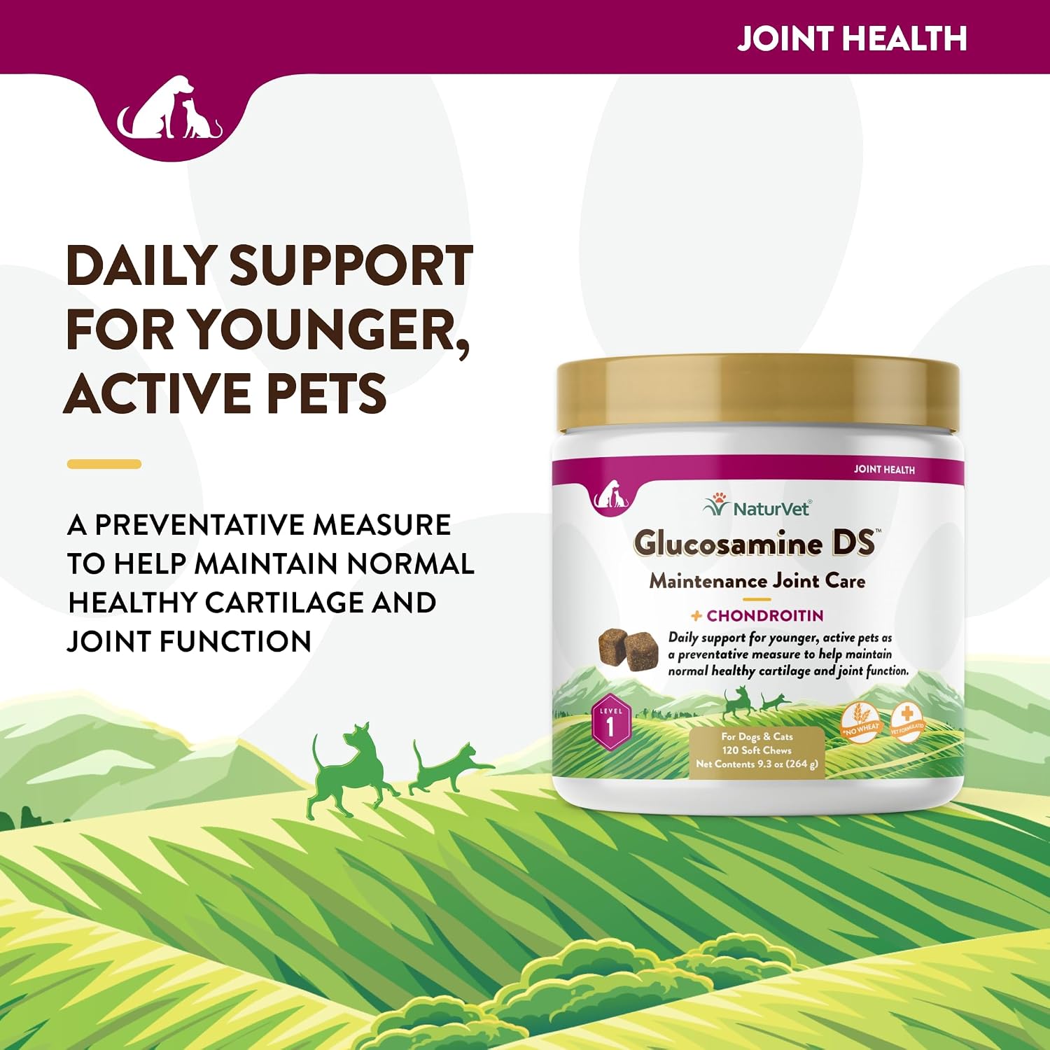 NaturVet – Glucosamine DS Plus - Level 2 Moderate Care – Supports Healthy Hip & Joint Function – Enhanced with Glucosamine, MSM & Chondroitin – for Dogs & Cats–70 Soft Chews