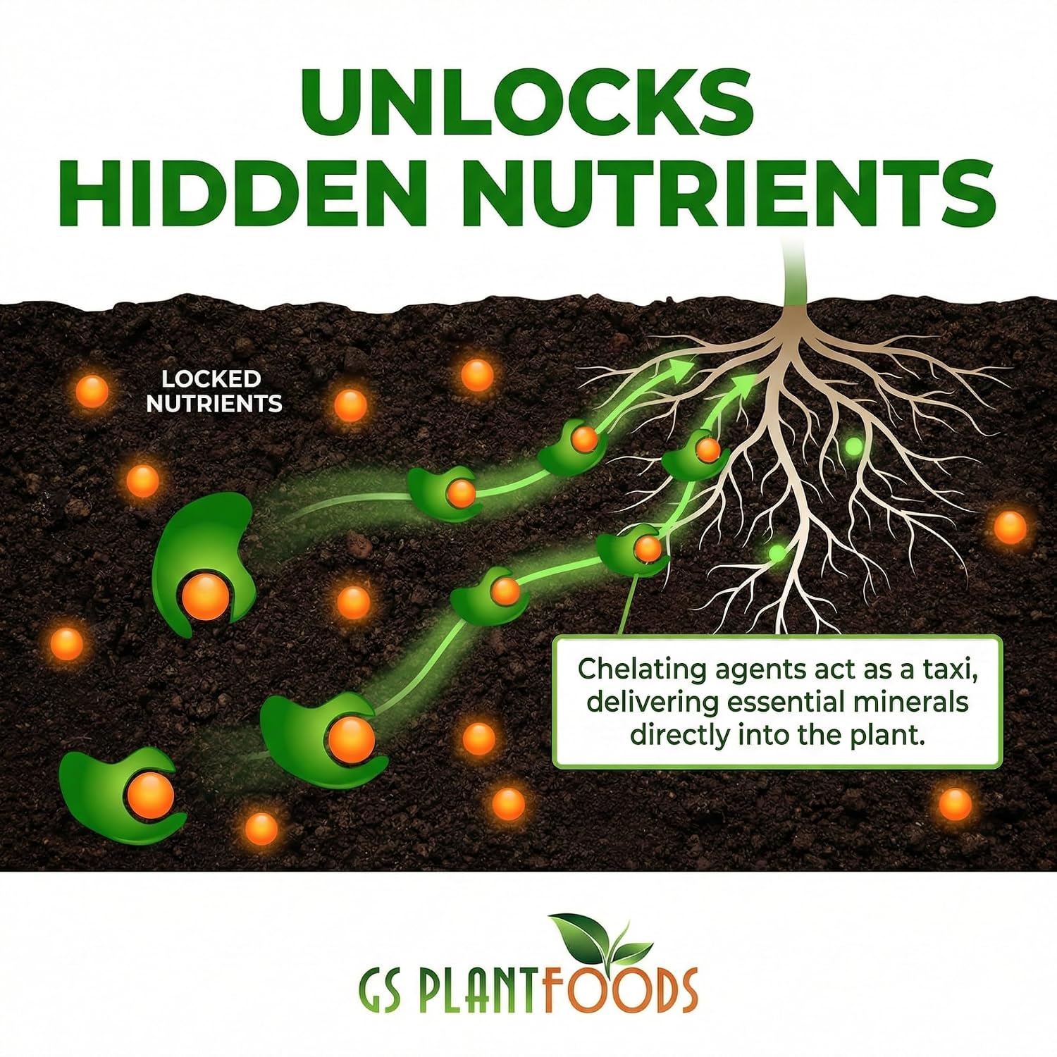 GS Plant Foods Root Ruckus Compost Fertilizer Organic Plant Food - Turbo Charged Compost for Plants - Humic Acid & Sea Kelp Nutritional Root Supplement for Lawns, Soil, Shrubs & Vegetables - 1 Gallon