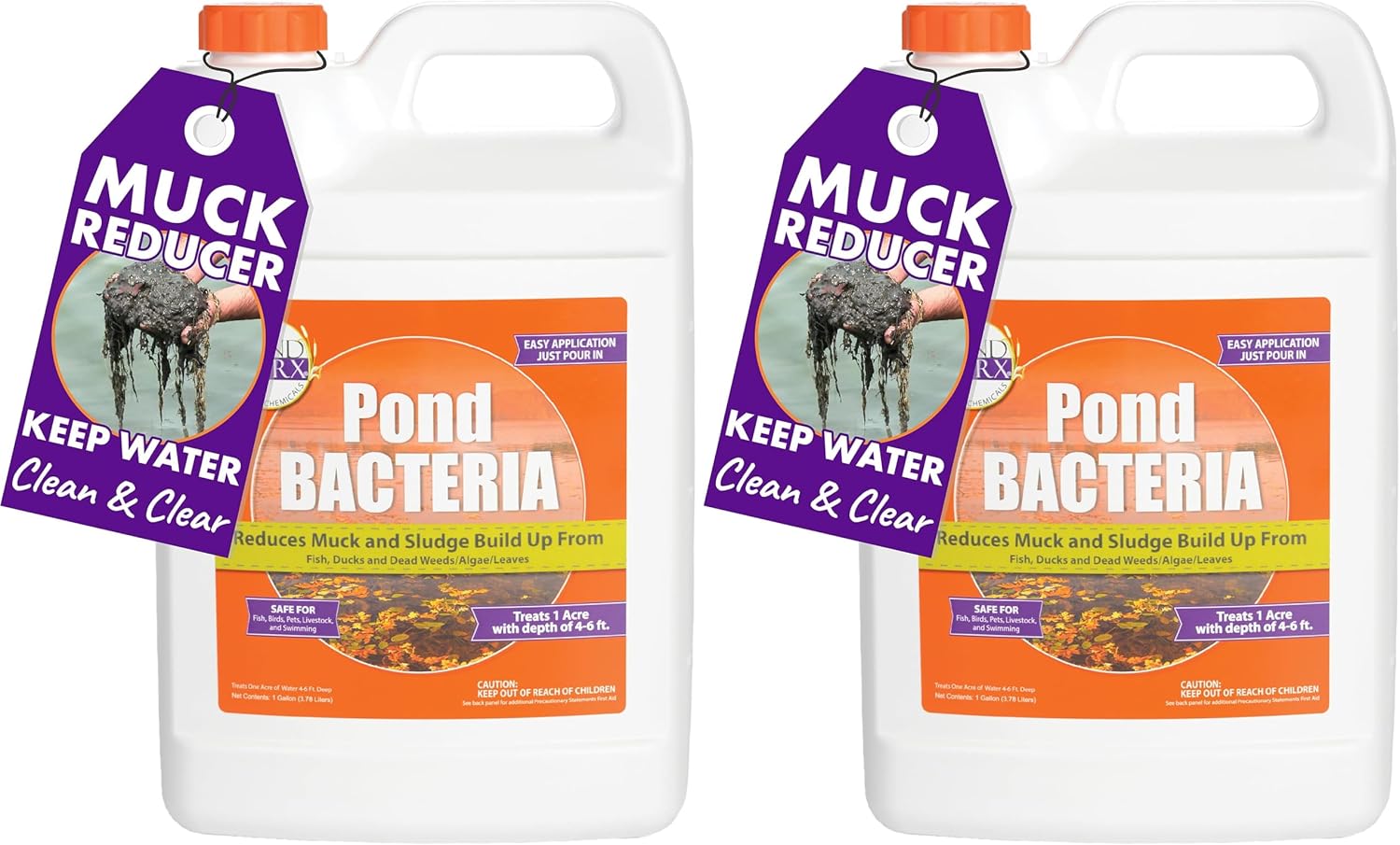 PondWorx Pond Bacteria - Formulated for Large Ponds, Water Features and Safe for Koi - Gallon