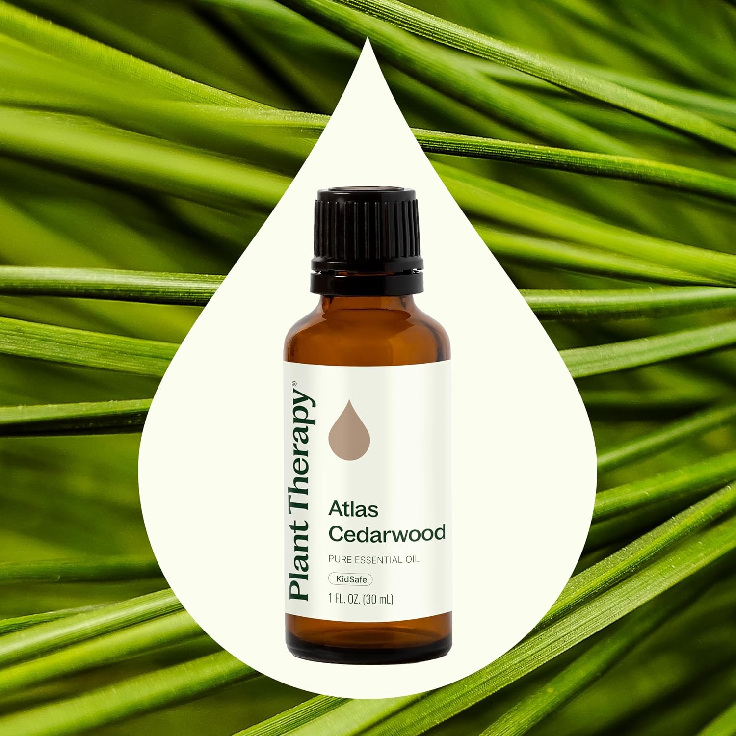 Plant Therapy Atlas Cedarwood Essential Oil 30 mL 100% Pure, Undiluted | Grounding & Relaxing, Supports Healthy Scalp & Hair