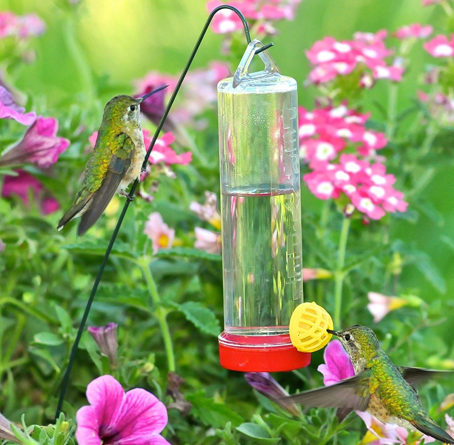 Perky-Pet 2 Pack of 215P Planter Box Plastic Hummingbird Feeder with Hanger (3 Ounce Capacity)