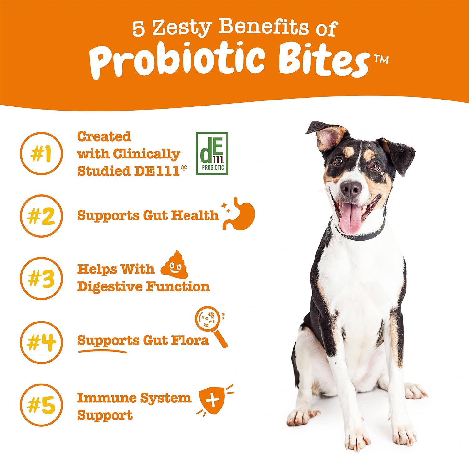 Zesty Paws Probiotics for Dogs - Digestive Enzymes for Gut Flora, Digestive Health, Diarrhea & Bowel Support - Clinically Studied DE111 - Dog Supplement Soft Chew for Pet Immune System - Pumpkin, 90ct