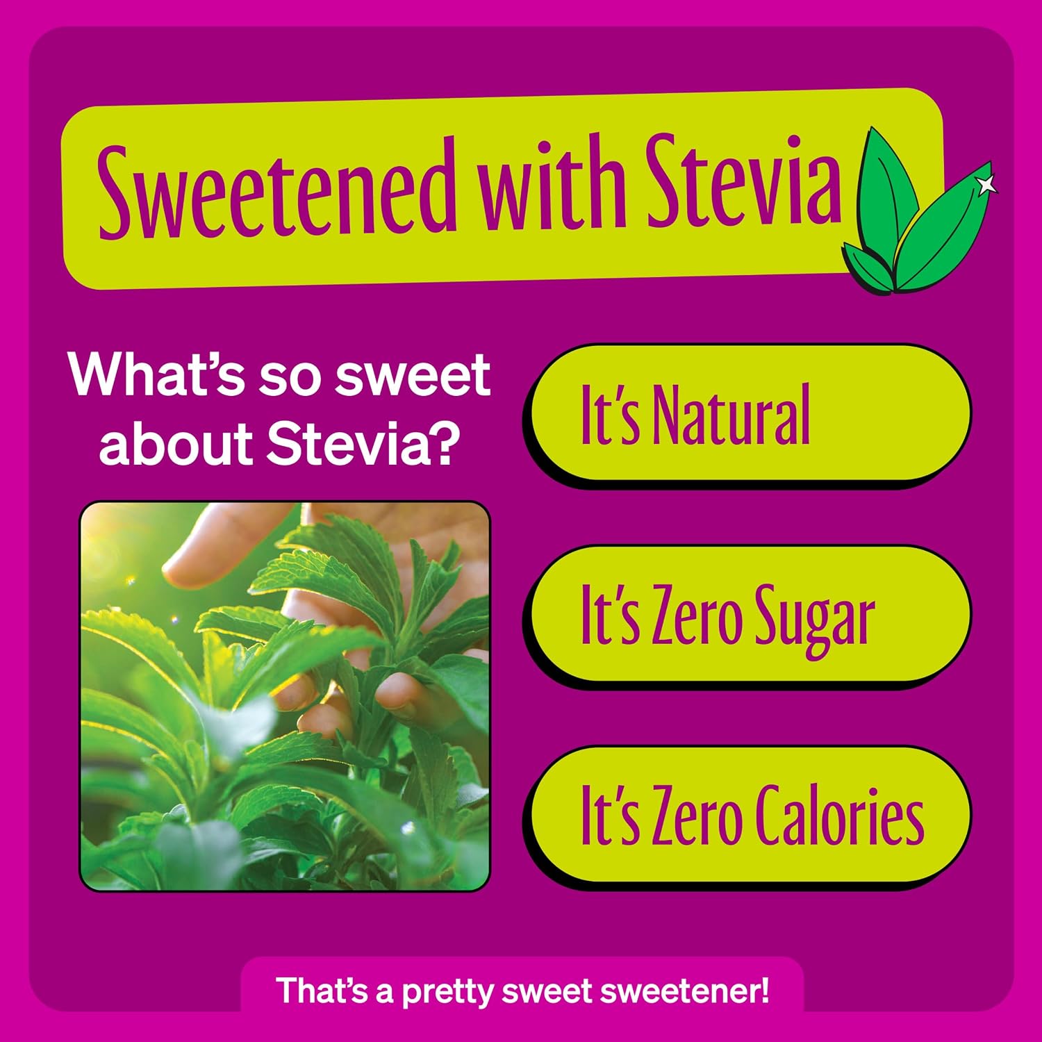 Zevia Zero Sugar Energy Drink, Raspberry Lime, 12 oz Cans (12-Pack) – Naturally Sweetened, Zero Calorie Sugar Free Energy - Non-GMO Project Verified, Gluten-Free, Vegan