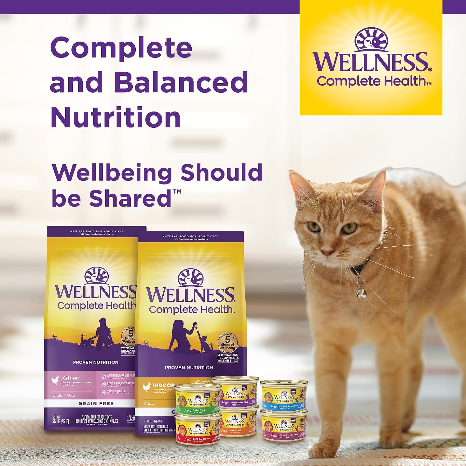 Wellness Complete Health Pate Variety Pack Adult Canned Wet Cat Food, Natural, Protein Rich, Grain Free, Chicken and Turkey Favorites, 3 oz