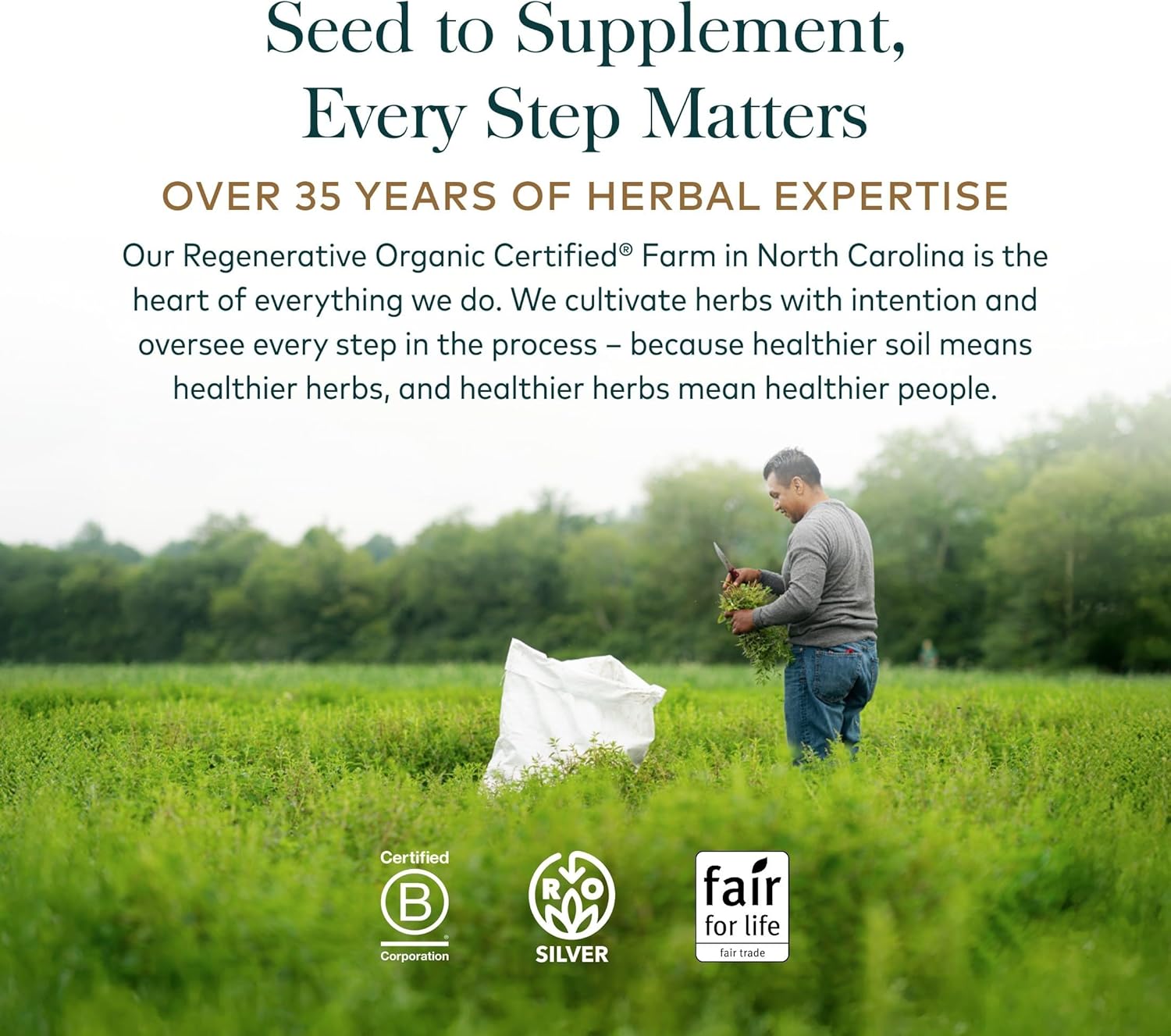 Gaia Herbs Adrenal Health Nightly Restore - Herbal Supplement with Ashwagandha, Magnolia Bark, Cordyceps, Lemon Balm & More* - 120 Vegan Liquid Phyto-Caps (60 Servings)
