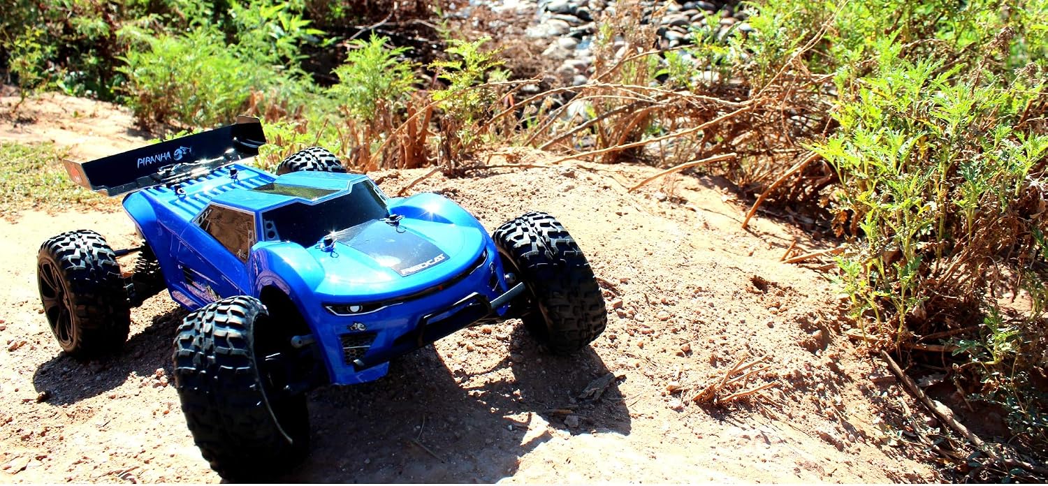 Redcat Racing Piranha-TR-10 Piranha Tr10 Truggy, Blue