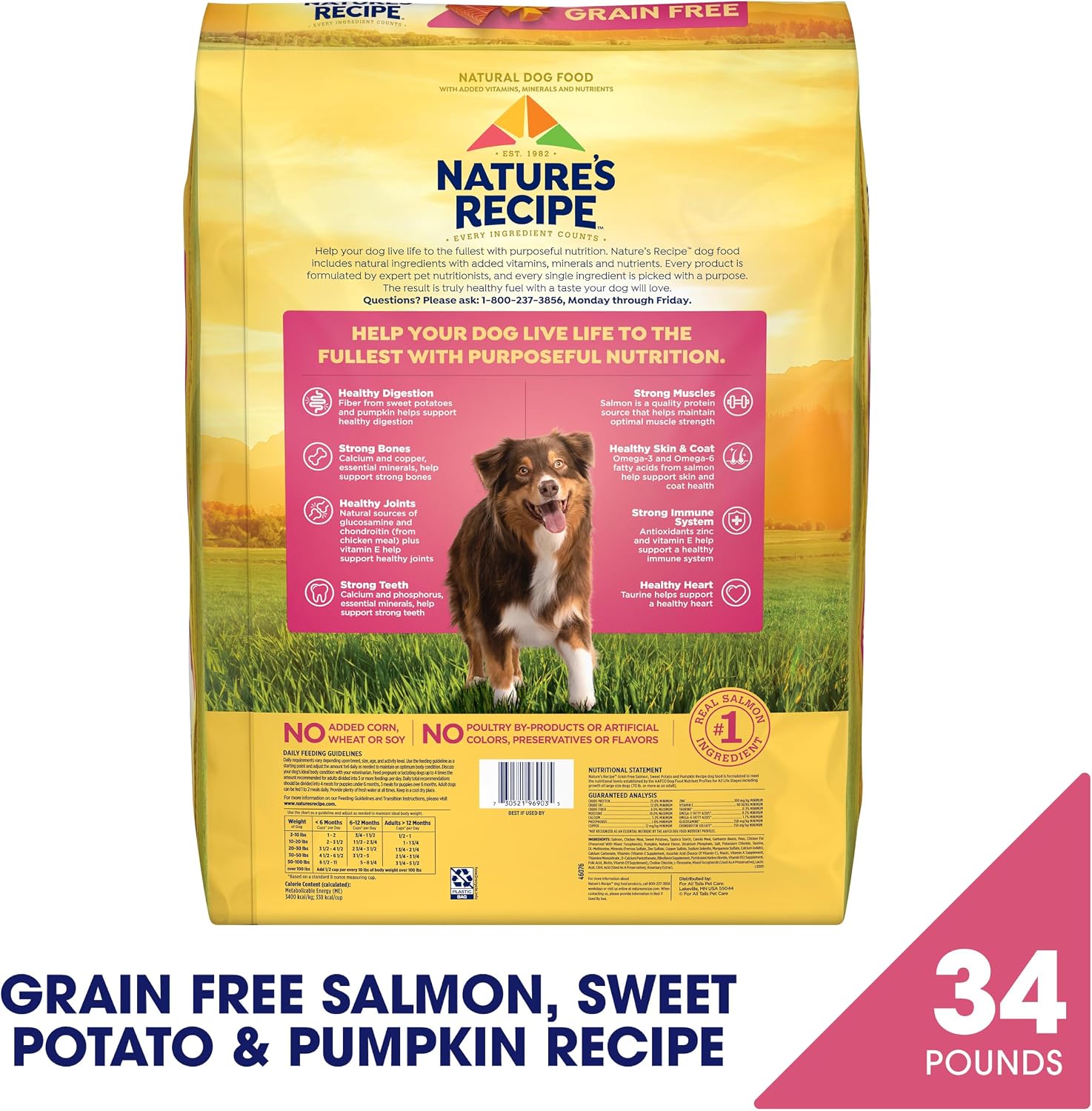 Nature's Recipe Grain Free Salmon Dry Dog Food, 24 lb. Bag | Fiber From Sweet Potatoes & Pumpkin Helps Support Digestion and Immune System Health