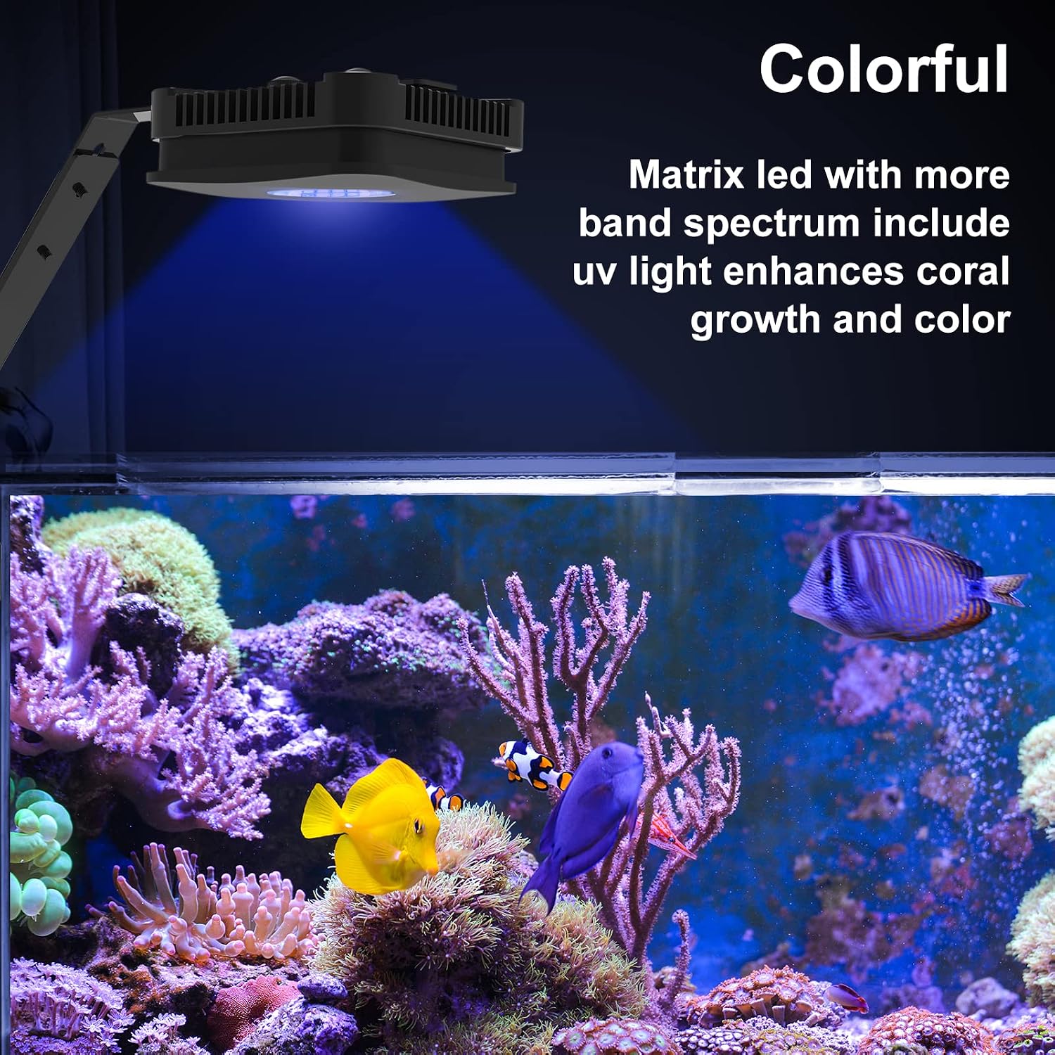 Lominie LED Aquarium Light, Planted Tank Light 4 Channels Remote Control 6500K Aquarium LED Lamp for Freshwater Fish Tank Refugium with Gooseneck (A20 Freshwater)