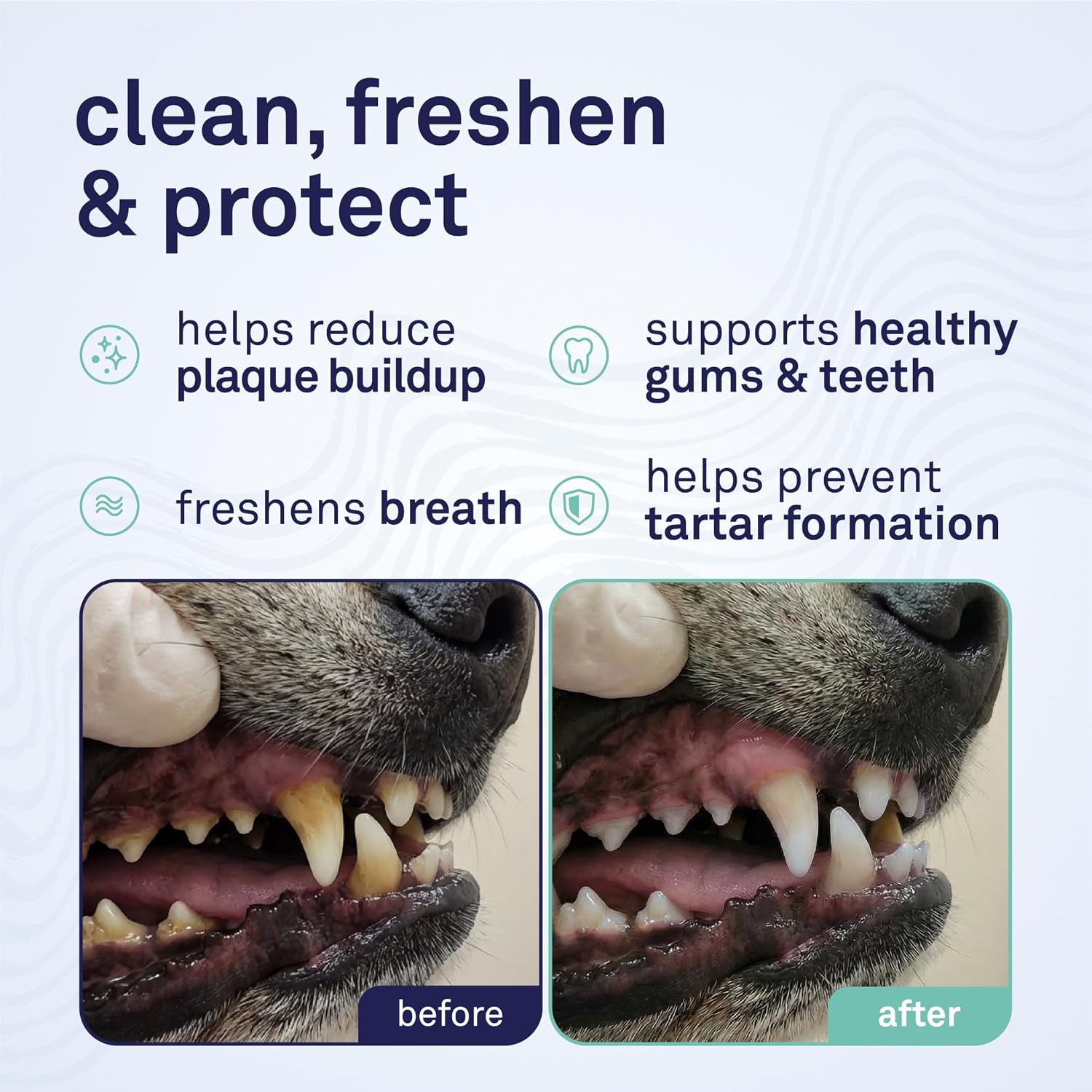 Petpost Dental Wipes for Dogs | 100 Count Presoaked Pads in Natural Tooth Cleaning Solution | Bad Breath and Tooth Buildup Remover