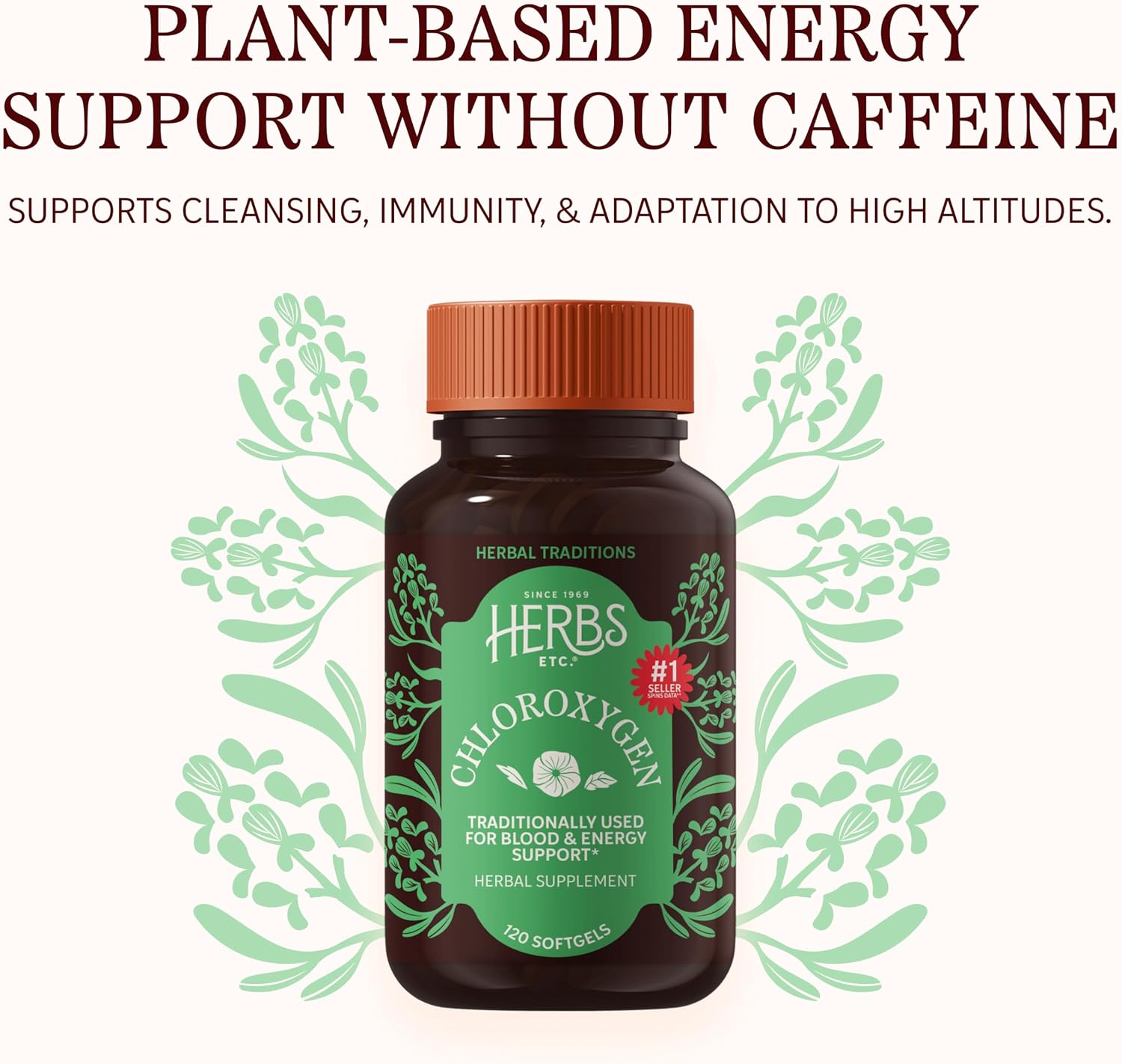 Herbs Etc. ChlorOxygen Chlorophyll Concentrate Softgels - High-Potency Chlorophyll for Detoxification Support - Deodorizing - Skin, Gut & Energy Support - 60 Count (60 Servings)