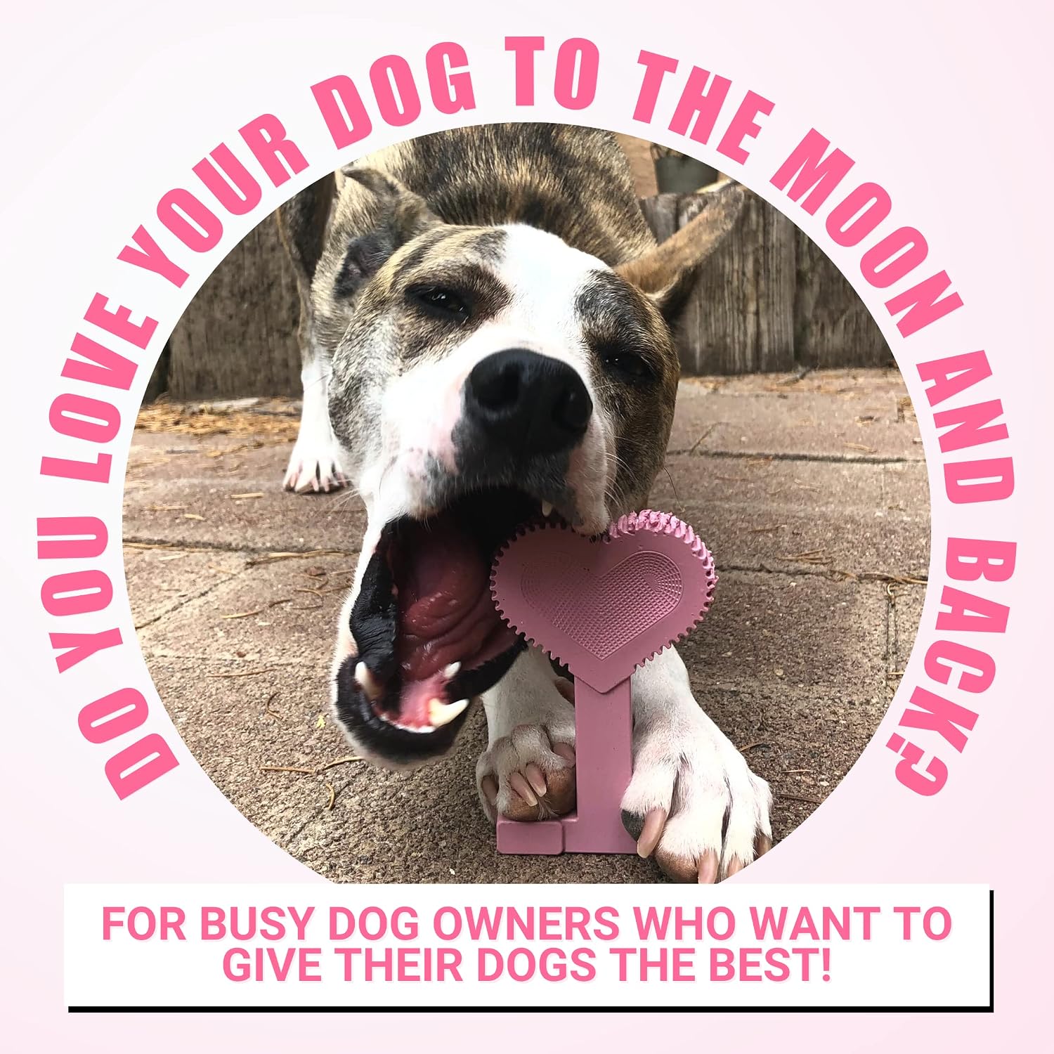 Bullibone Nylon Dog Chew Toy for Aggressive Chewers - Dental Hygiene Bone with Beef Flavor, Durable Tough Chew Toys for Small Dogs, Indestructible Dog Bone - 3 Pack