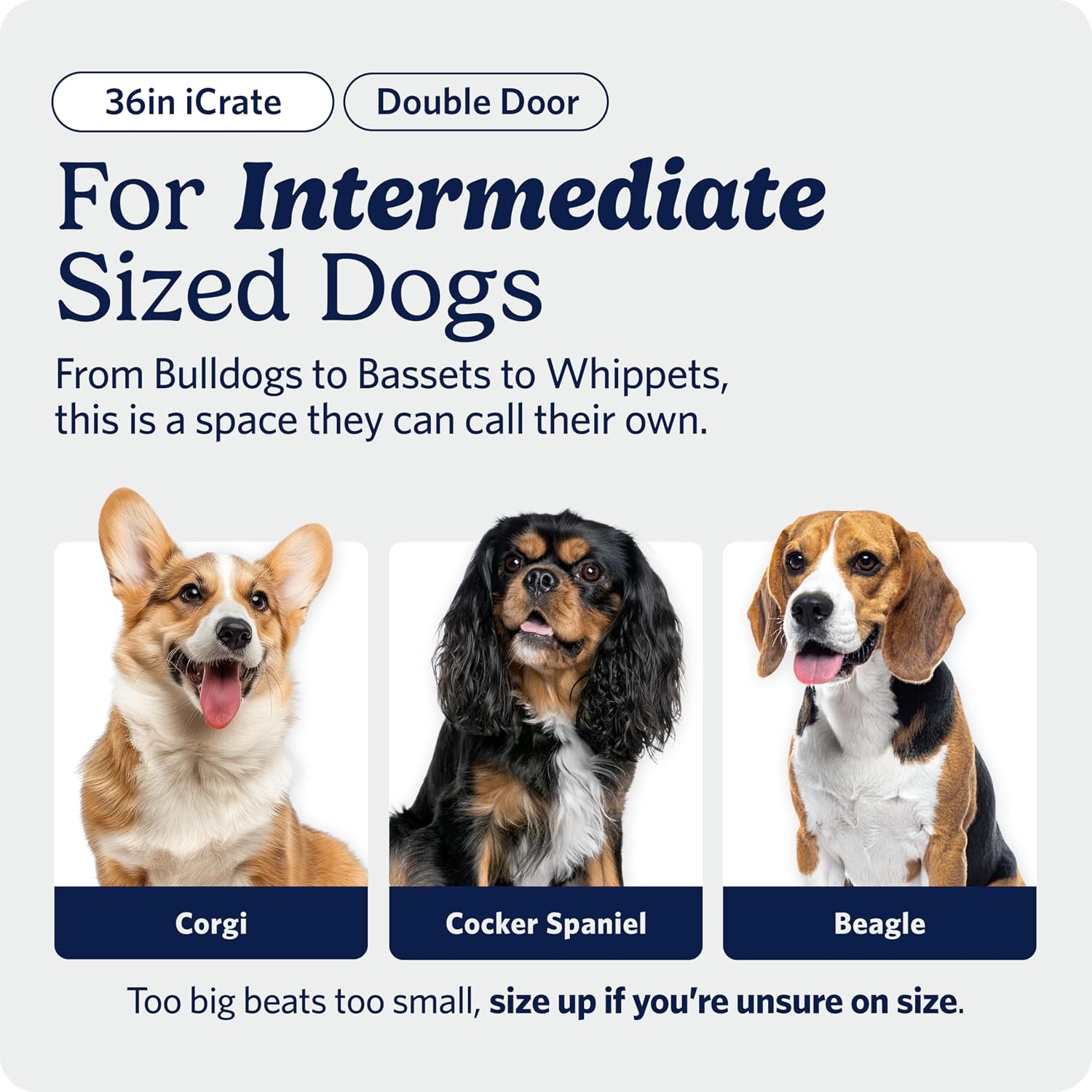 MidWest Homes for Pets 48-Inch iCrate for Extra-Large Breeds, 90-110 lbs, Single Door Folding Dog Crate with Divider Panel, Leak-Proof Tray & Secure Latches, Portable, Durable & Easy to Assemble