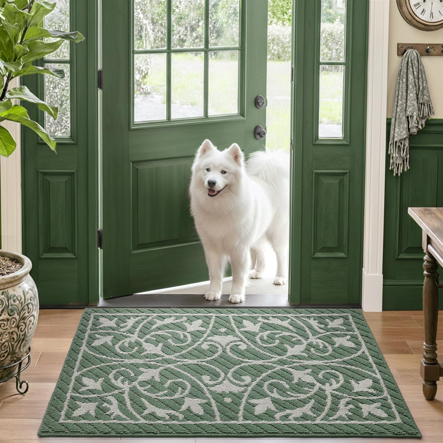 DEXI Front Door Mat Indoor Entryway 24x36 Inside Entrance Doormat Green