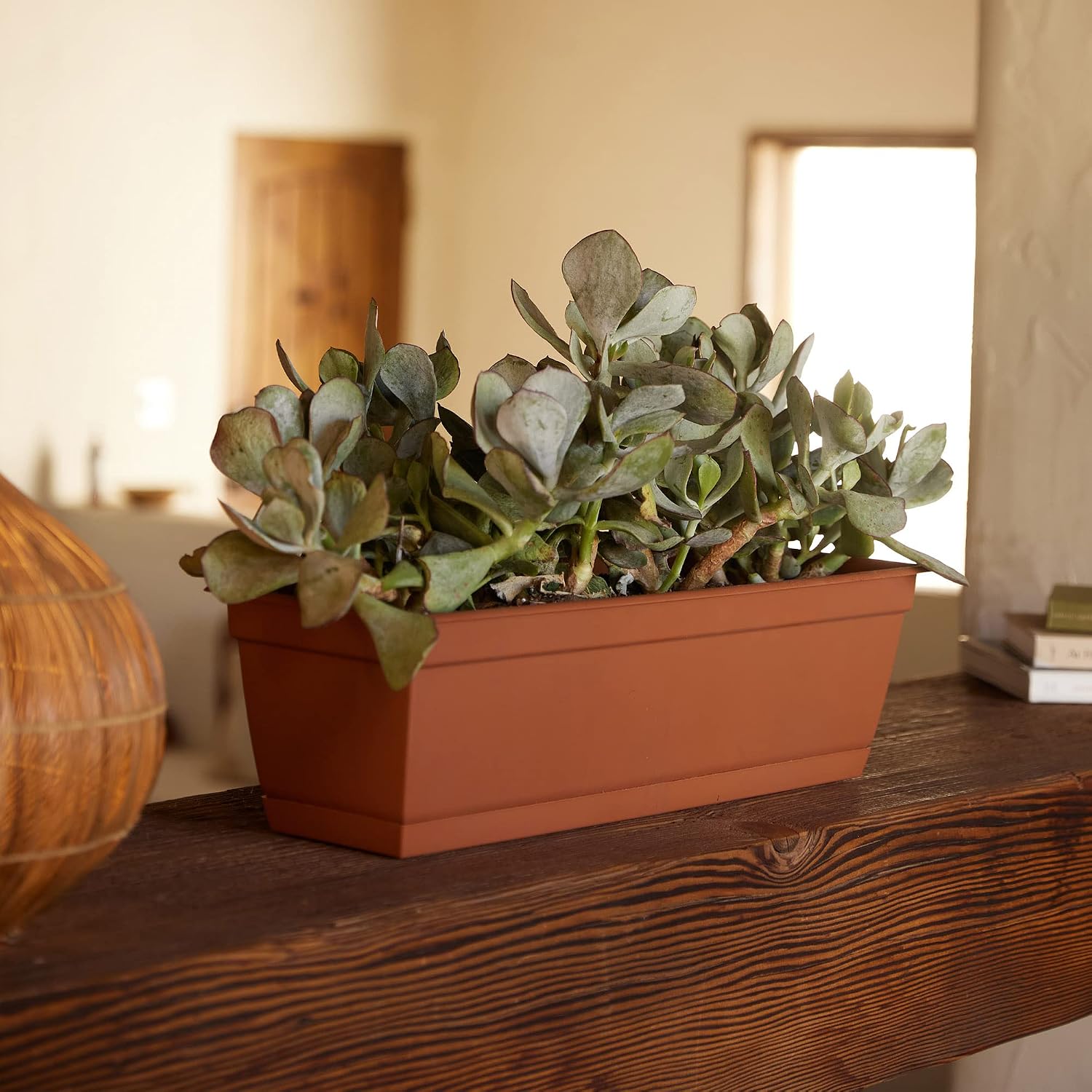 Window Box TERACOTTA 24"