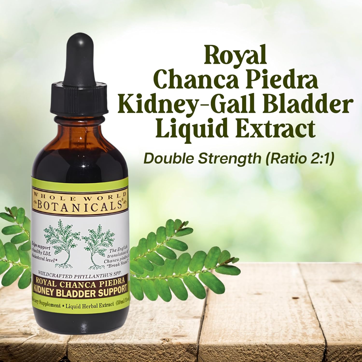 Whole World Botanicals Royal Chanca Piedra Herbal Supplement – Traditional Amazon Herb (Liquid 2 Oz, Kidney Bladder Support)