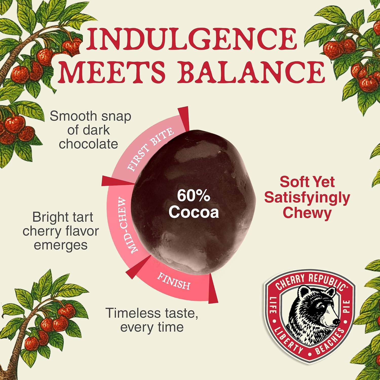 Cherry Republic Dark Chocolate Covered Cherries, 7 oz Bag | Premium Montmorency Dried Cherries Coated in Rich 60 Percent Dark Chocolate, Balanced Tart and Sweet Flavor, Made in Michigan