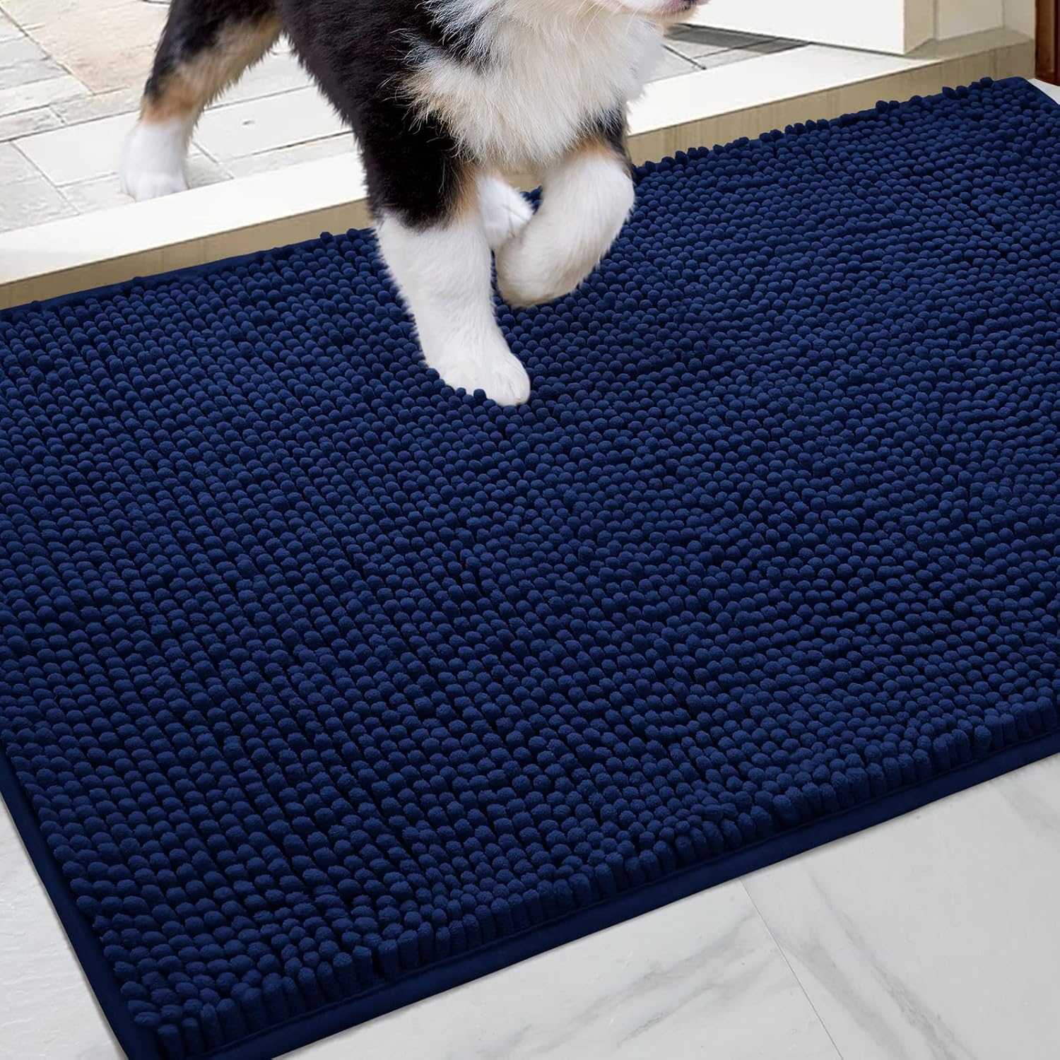 HOMEIDEAS Dog Door Mat for Muddy Paws 30x20, Absorbs Moisture and Dirt, Non-Slip Washable Doormat, Soft Chenille Mud Mat for Dogs