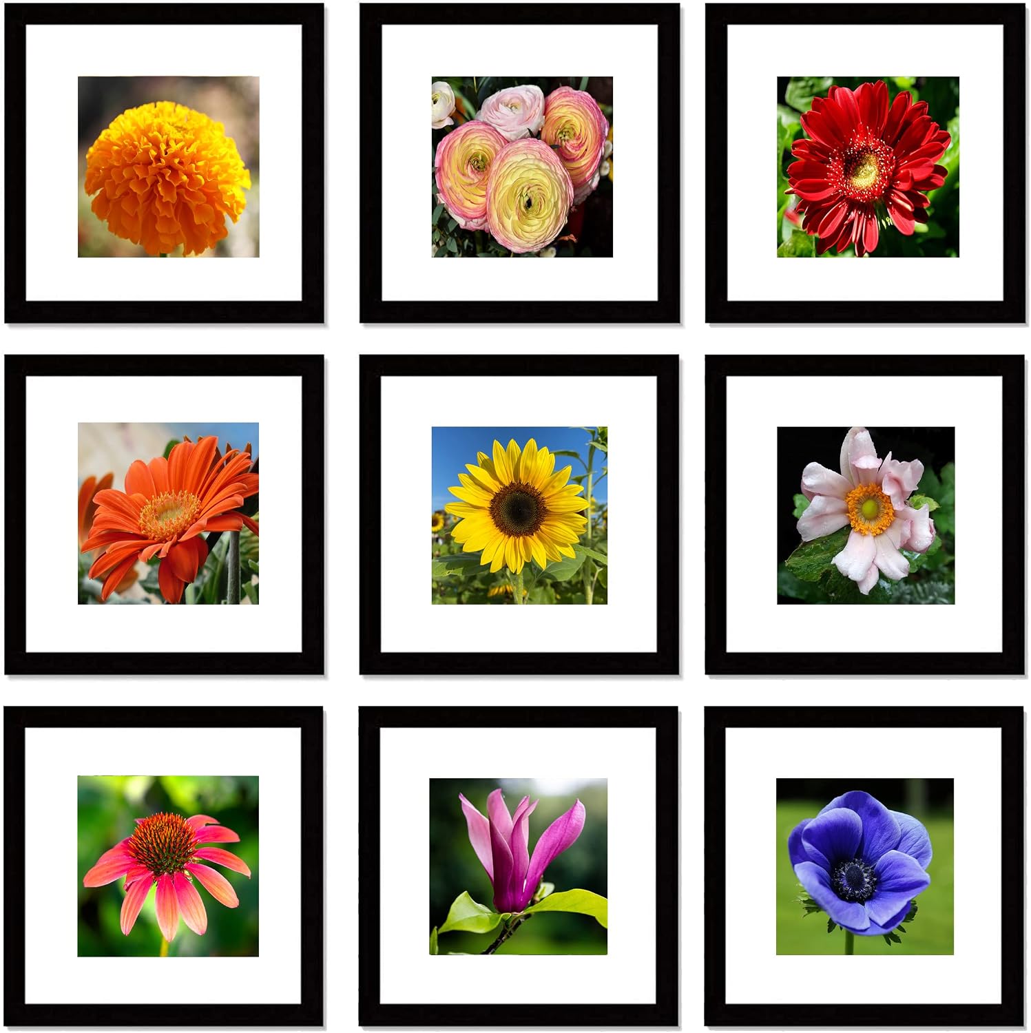 pojah 12x12 Black Picture Frame Set of 4,Wall Frames,HD Plexiglass