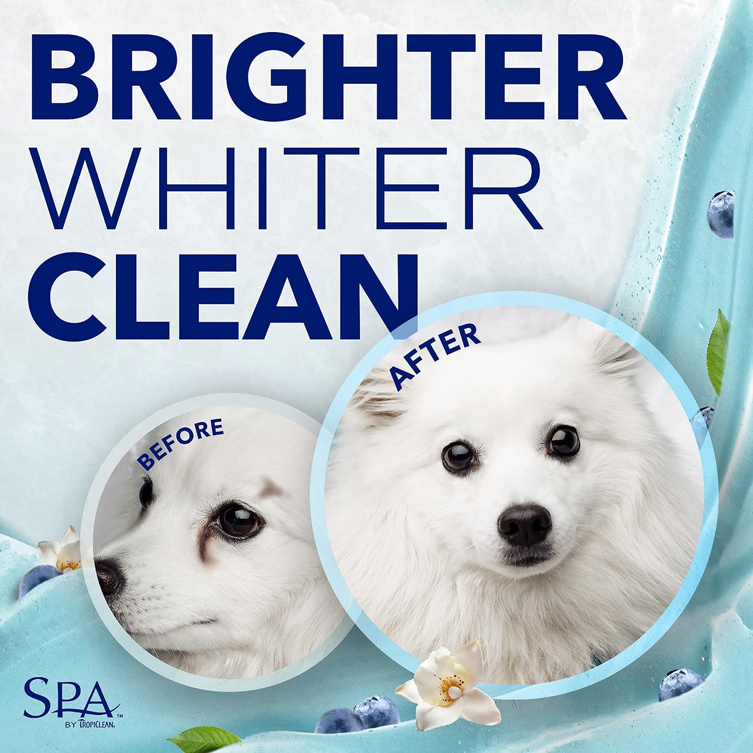 TropiClean SPA Tear Stain Remover for Dogs, Blueberry Facial Shampoo, 8oz | Tear Stain Remover | Whitening & Brightening | Tearless | Odor Eliminator | Made in USA