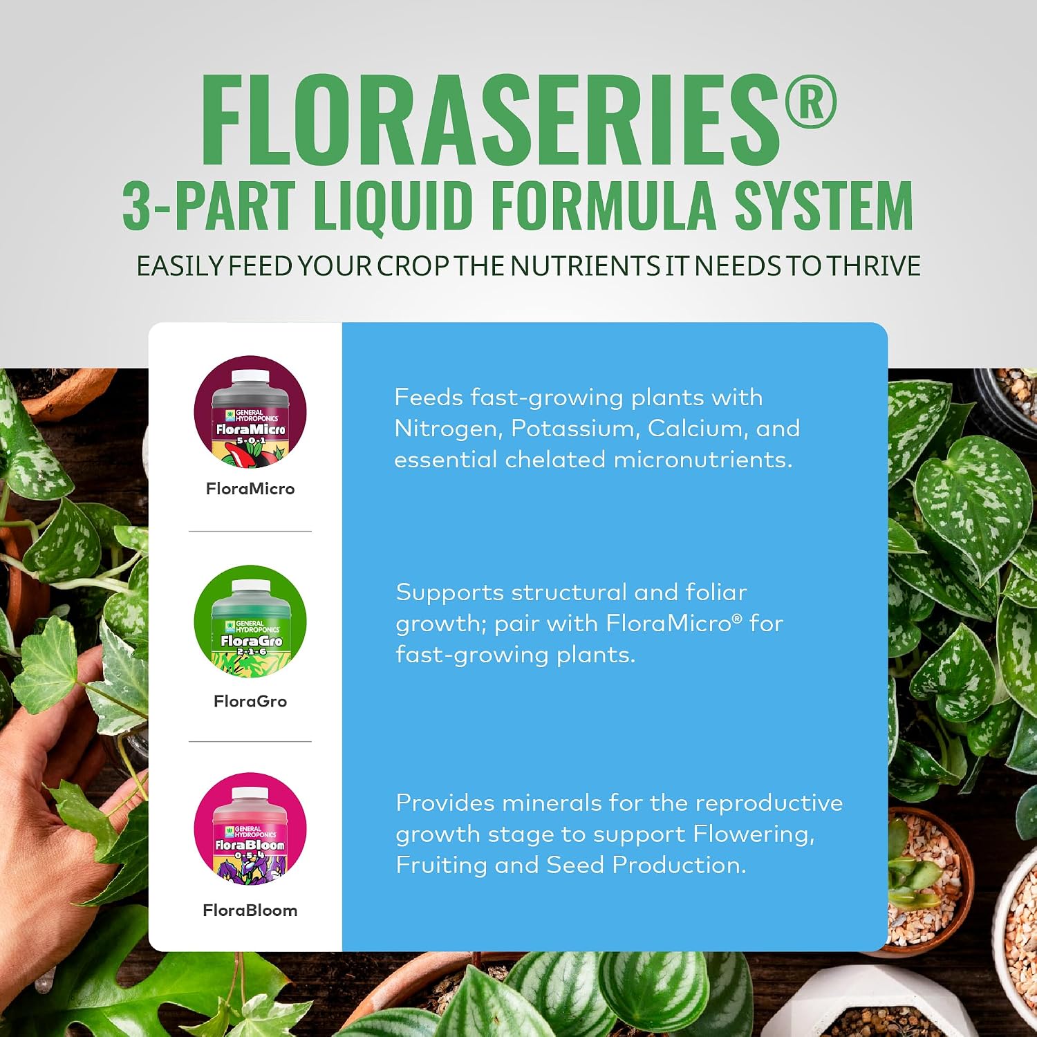 General Hydroponics FloraMicro, 1 Quart