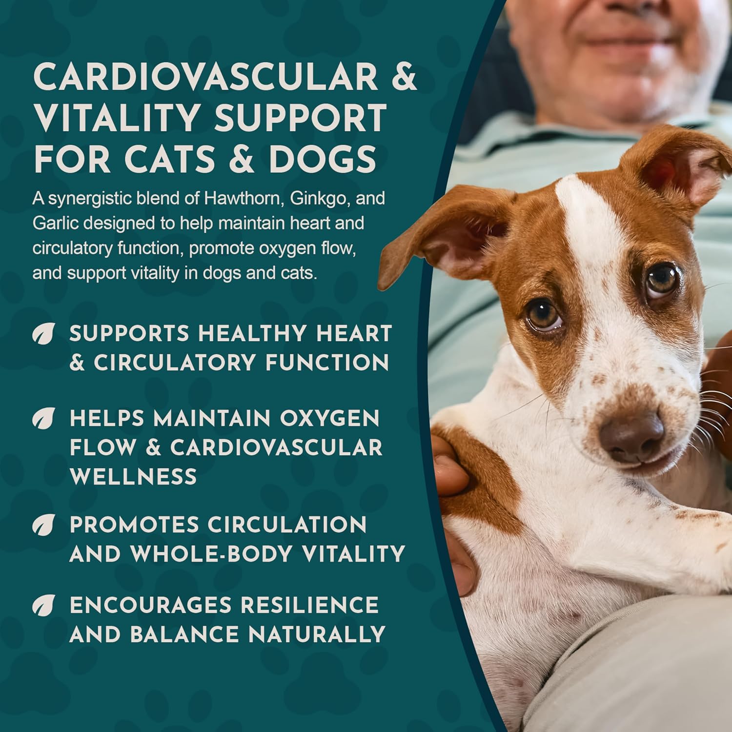 Heart Health for Dogs & Cats - Cardiovascular Support Supplement, Healthy Heart, Organic Hawthorn Berry, Herbal Tincture - 2 Fl Oz