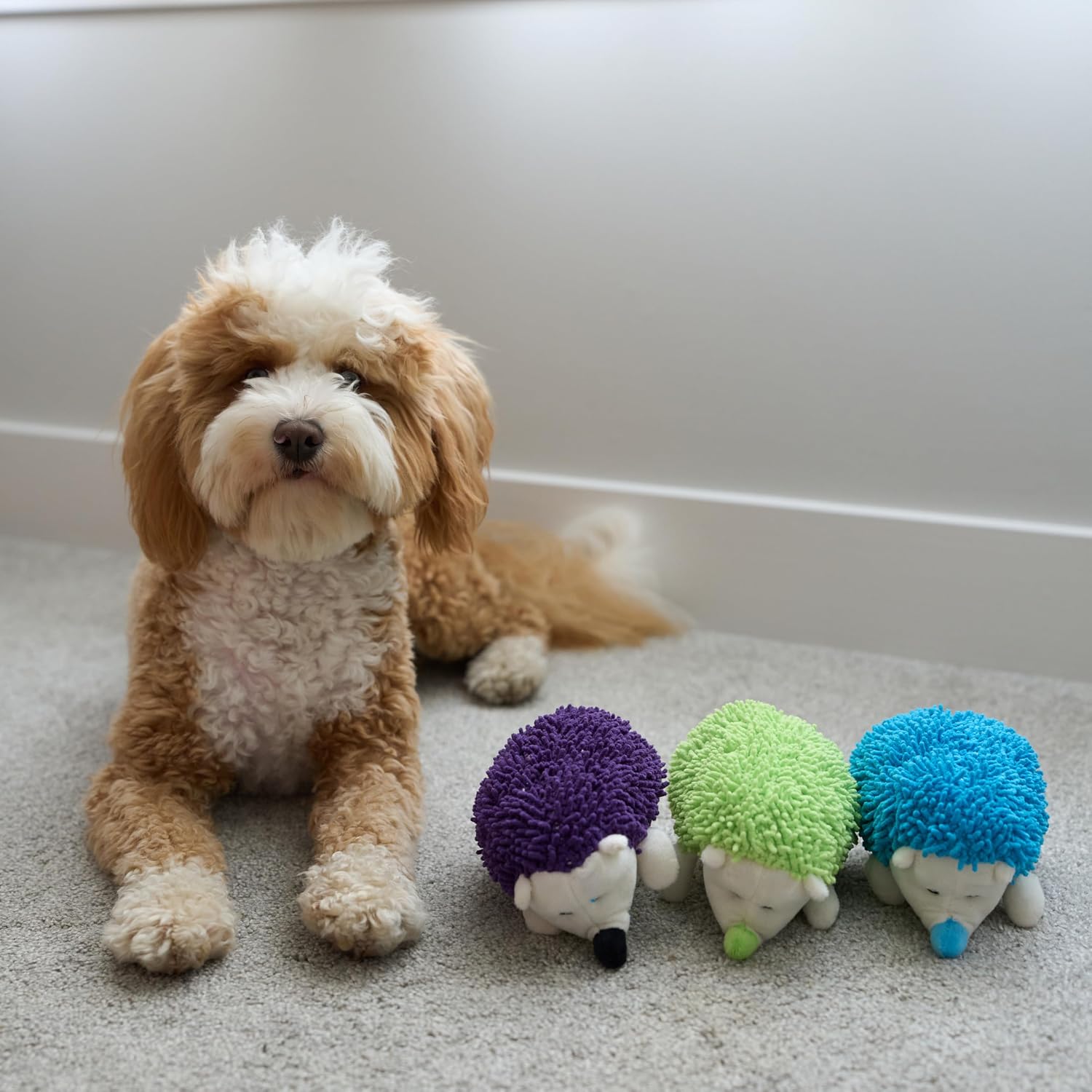 SPOT Gigglers Hedgehog Dog Toy with Giggle Sound | Textured, Plush Shake and Wiggle Hedgehog Giggle Toy for Small and Medium Dog Breeds