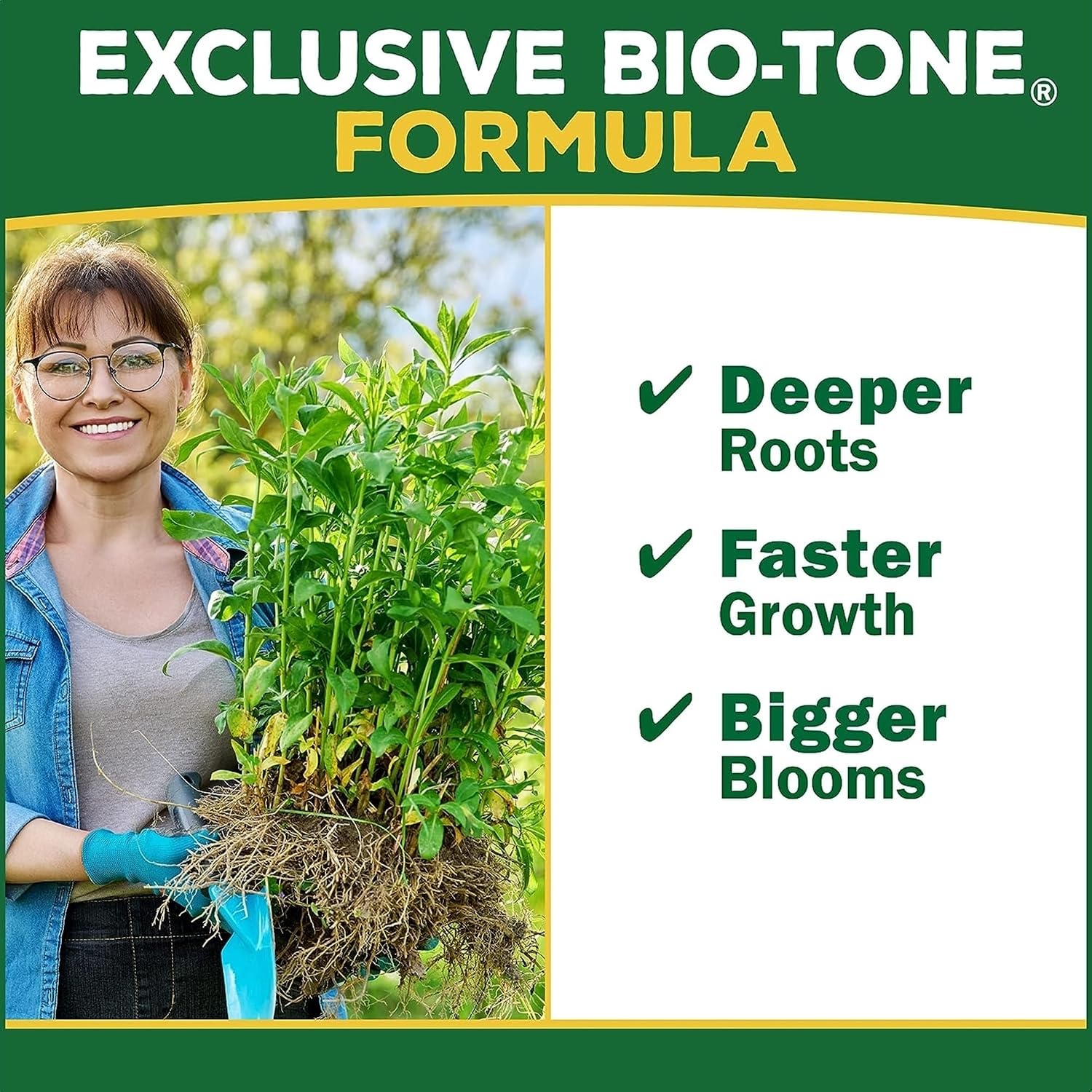 Espoma Organic Holly-Tone 4-3-4 Natural & Organic Evergreen & Azalea Plant Food, 4 lb. Bag