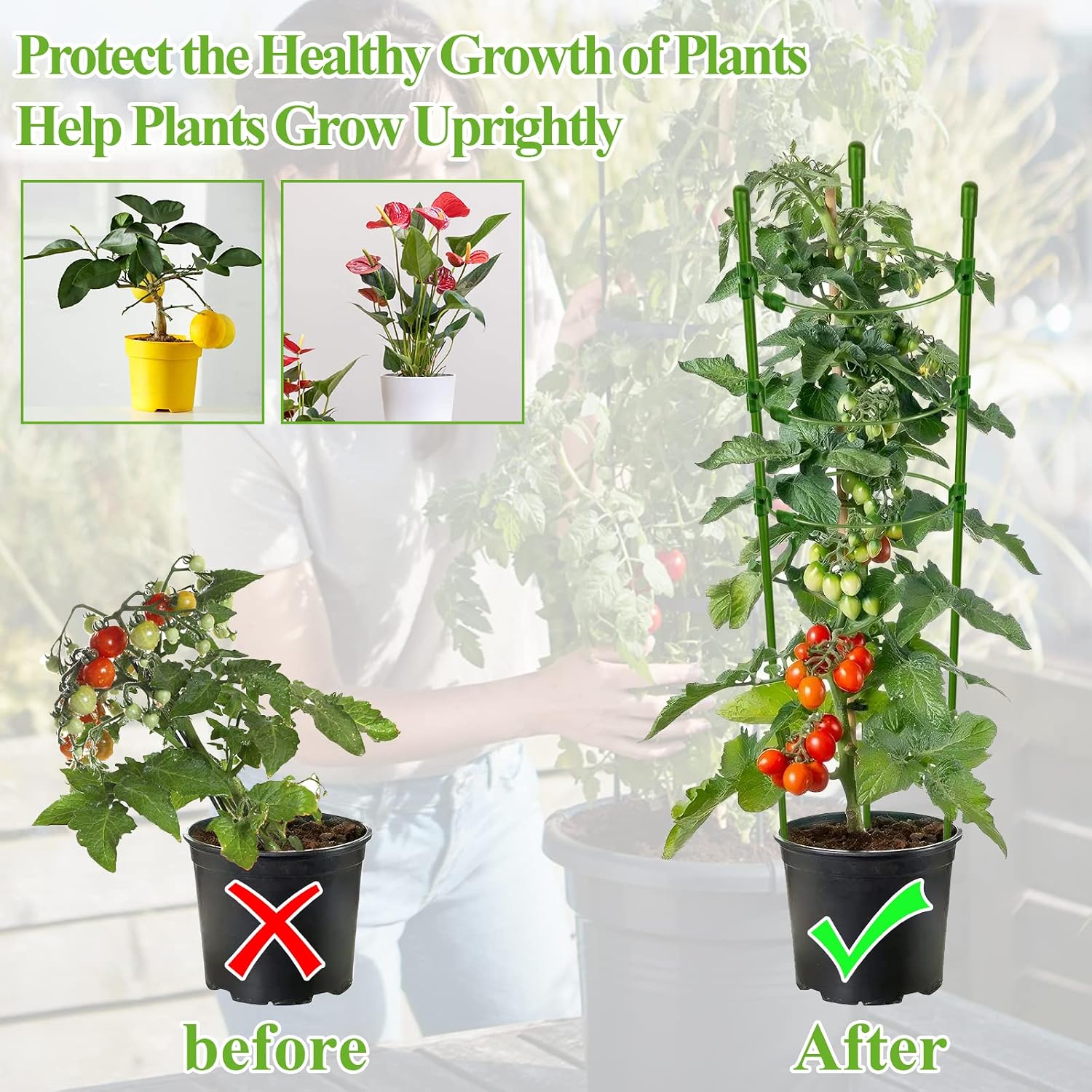 Legigo 3 Packs Plant Support Cages Tomato Cage for Garden- 18 Inch Adjustable Garden Cucumber Trellis Plant Stakes