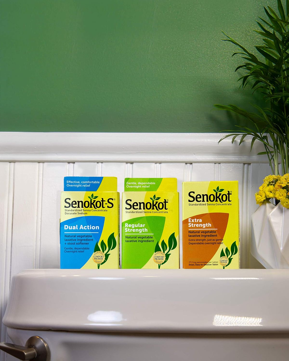 Senokot Regular Strength Laxatives for Constipation, Senna Tablets, 100 ct