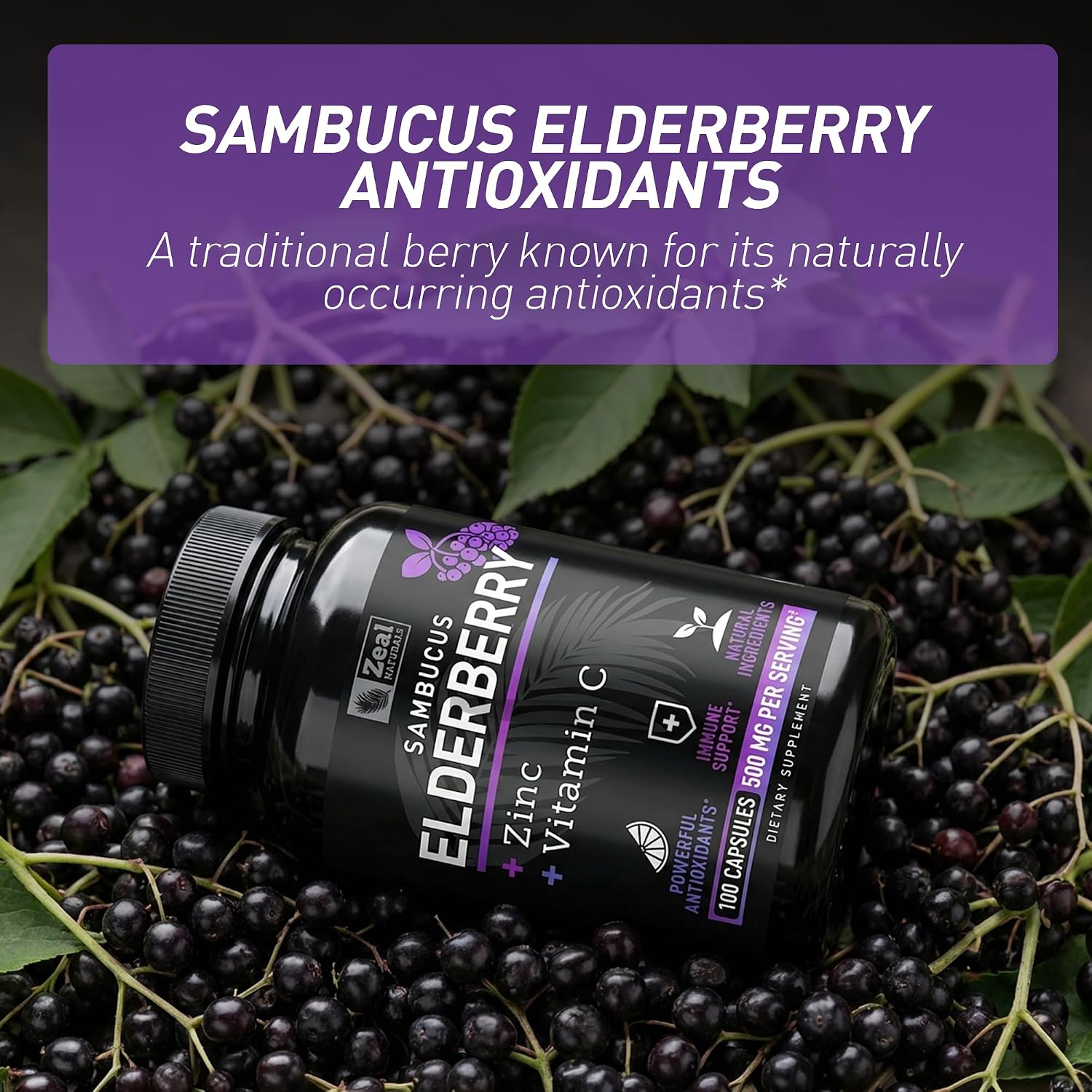 Zeal Naturals Max Strength Elderberry Capsules - 2000mg, 100 Capsules | Sambucus Black Elderberry, Vitamin C