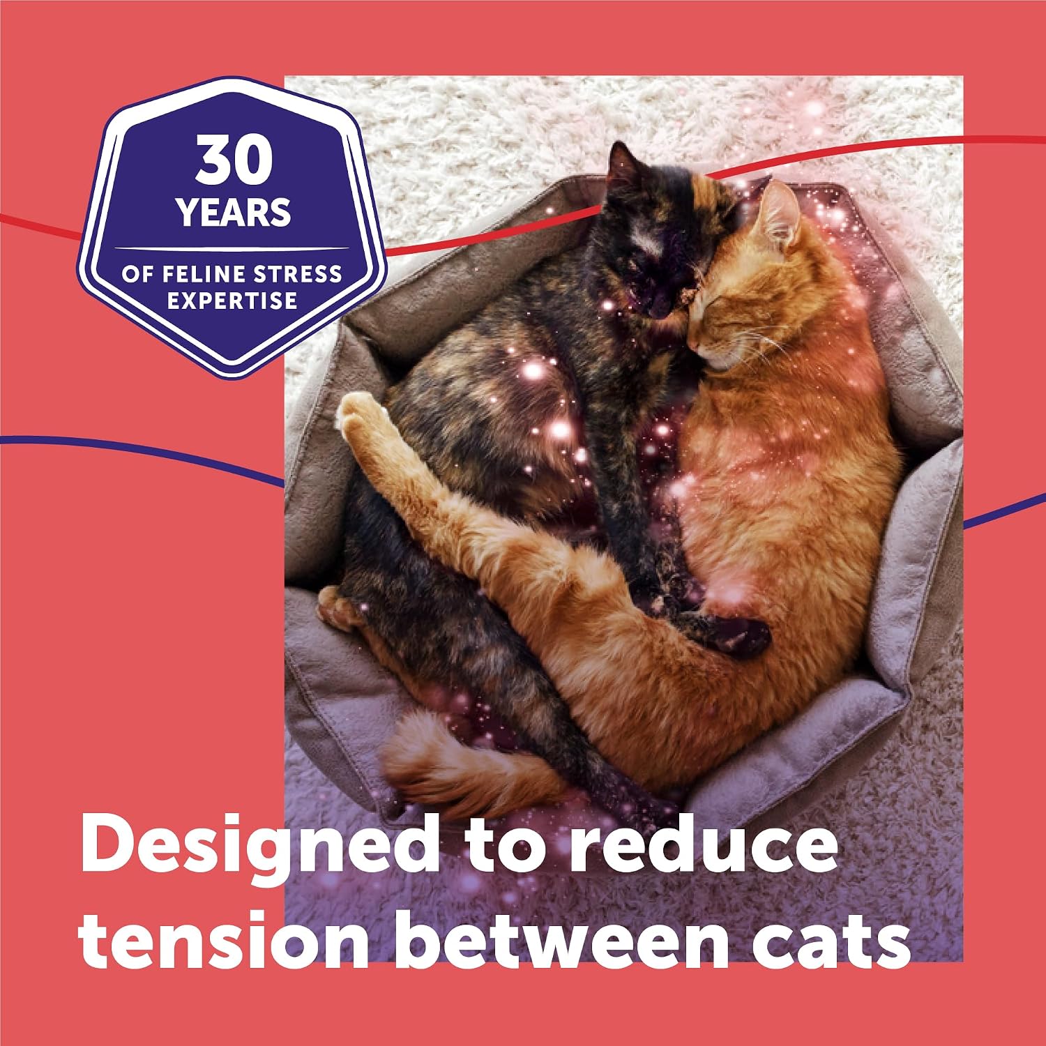 FELIWAY MultiCat Cat Calming Pheromone Diffuser Kit | Helps Reduce Fighting, Tension and Aggression Between Cats due to Stress for Multi‑Cat Homes, 30 Day Supply
