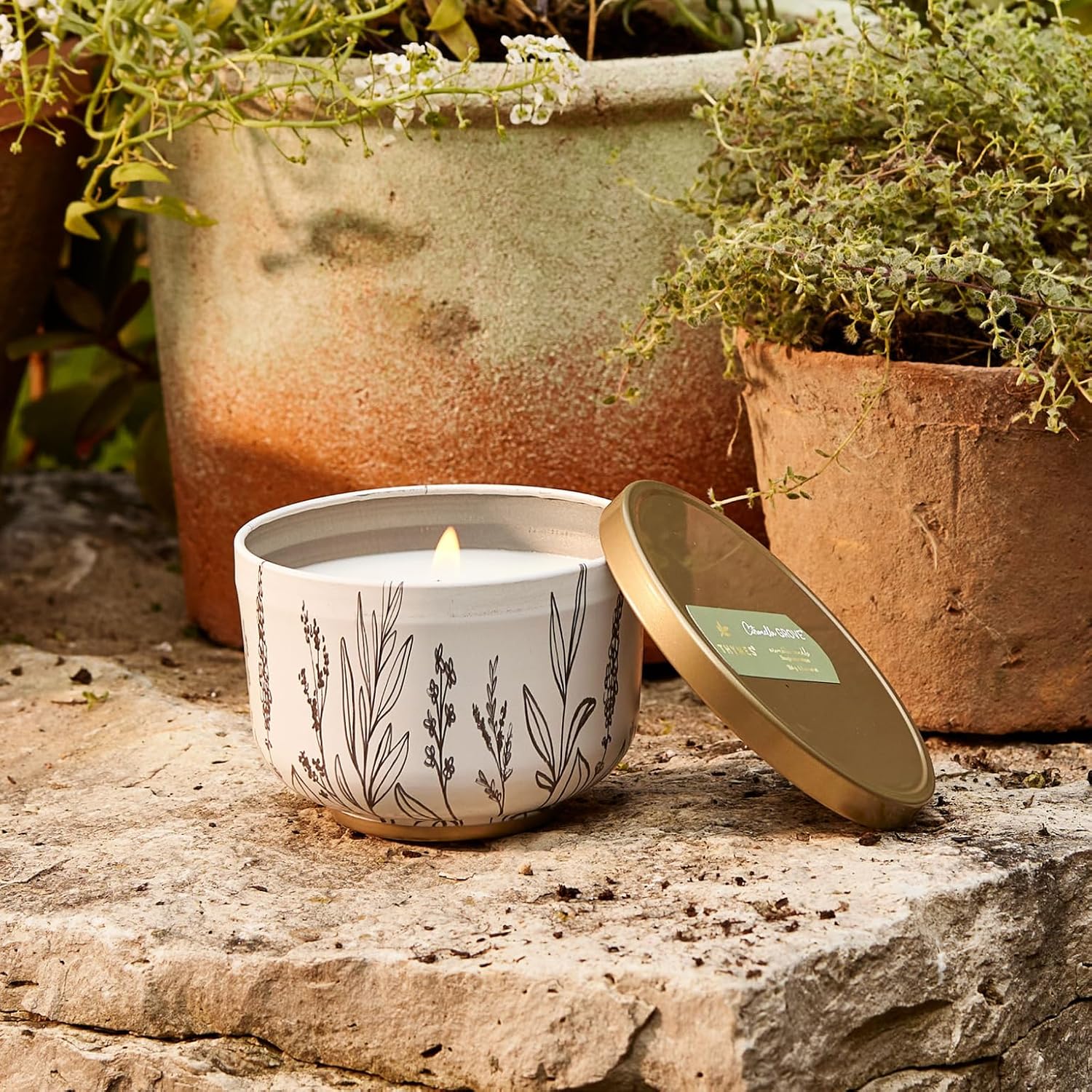 Thymes Scented Candles for Women & Men – Tin with Lid – Luxury Home Decor – Holiday Candles with Notes of Crisp Siberian Fir Needles, Cedarwood, & Sandalwood (Frasier Fir, 6.5 oz)