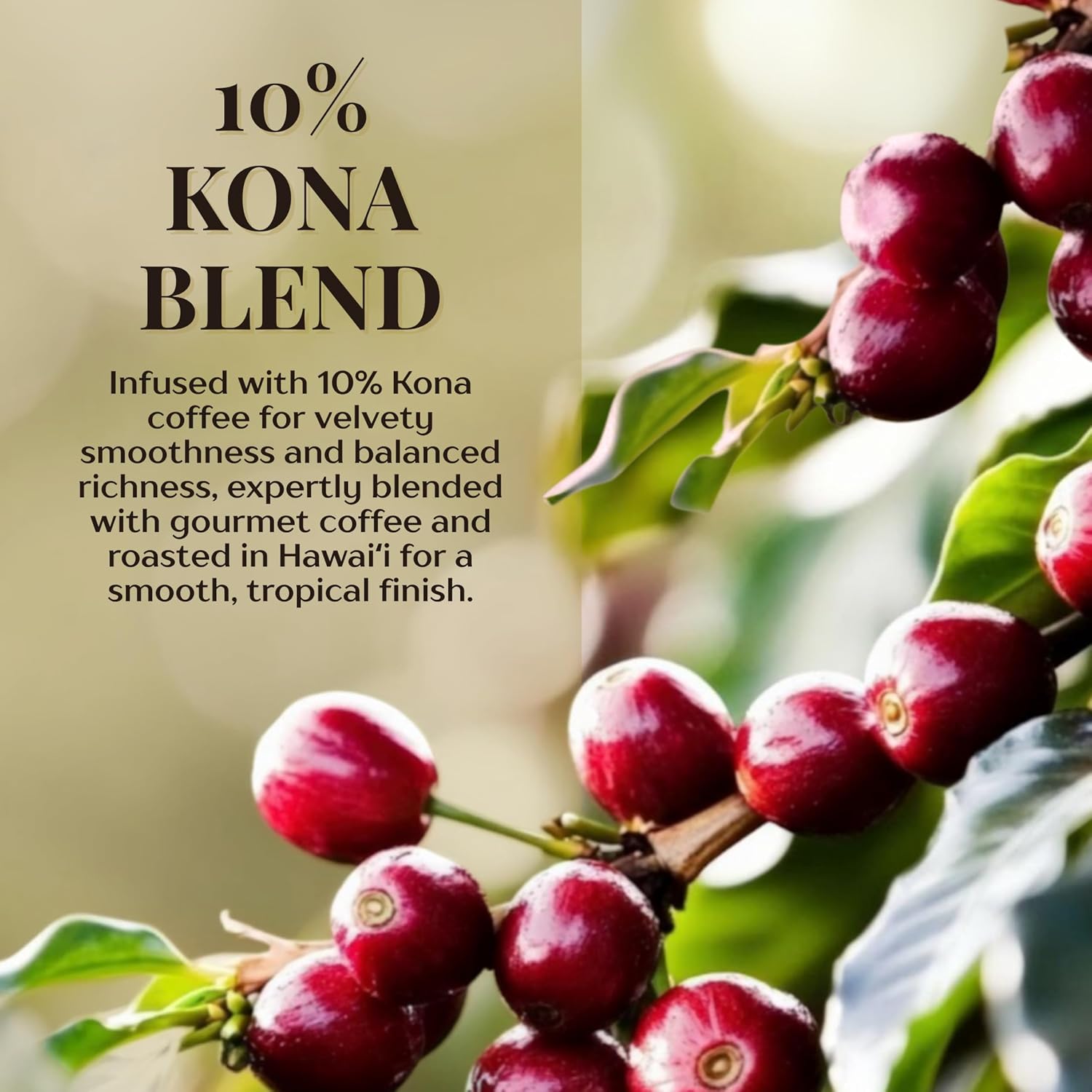ROYAL KONA COFFEE - Medium Roast Ground Coffee, Vanilla Macadamia Flavor, 8 Ounce