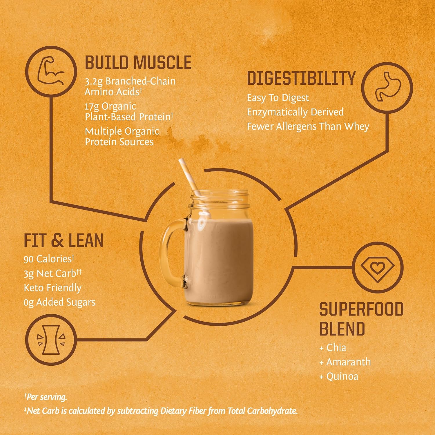 Clean Vegan Protein Powder Vanilla | Organic Protein Powder Plant Based Formula with 5 Superfood Blend Sprouted & Fermented | Non-GMO Low Carb Soy Dairy & Gluten Free (Vanilla, 30 Servings)