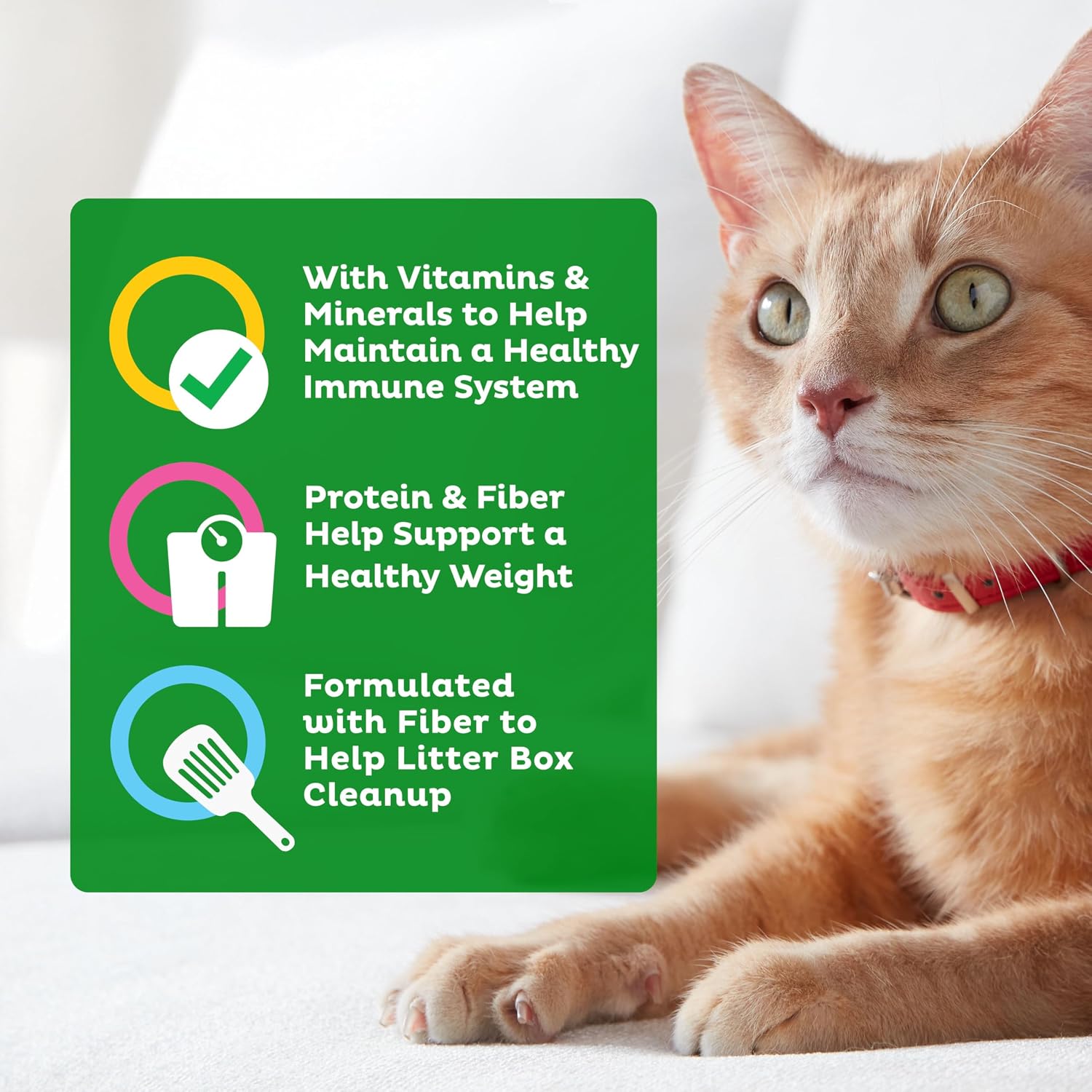 9Lives Indoor Essentials Dry Cat Food with Chicken & Salmon, 12 lb. Bag | 100% Complete & Balanced Nutrition For Indoor Adult Cats With Lean Protein & Fiber To Help Support A Healthy Weight