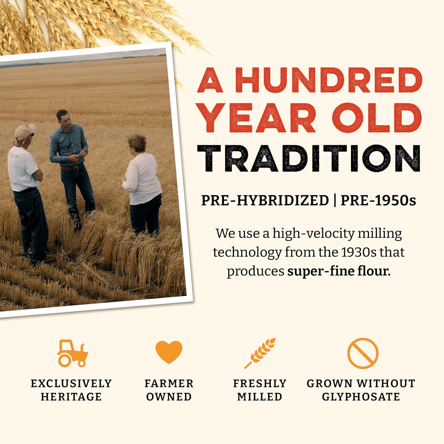 Sunrise Flour Mill Heritage Organic Bread Flour Blend - 5 lbs | Organic Unbleached Bread Flour Easy to Digest with Less Bloating | High Protein