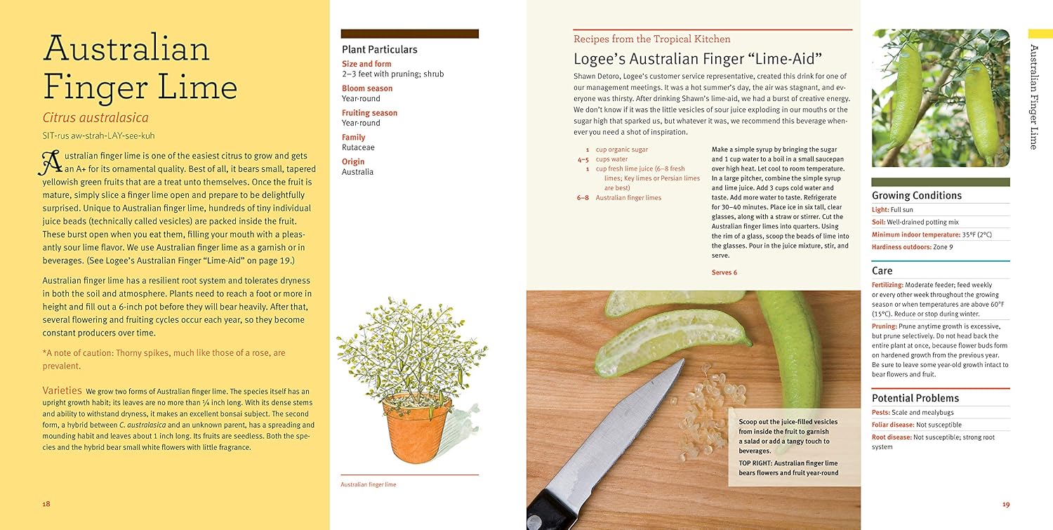 Growing Tasty Tropical Plants in Any Home, Anywhere: (like lemons, limes, citrons, grapefruit, kumquats, sunquats, tahitian oranges