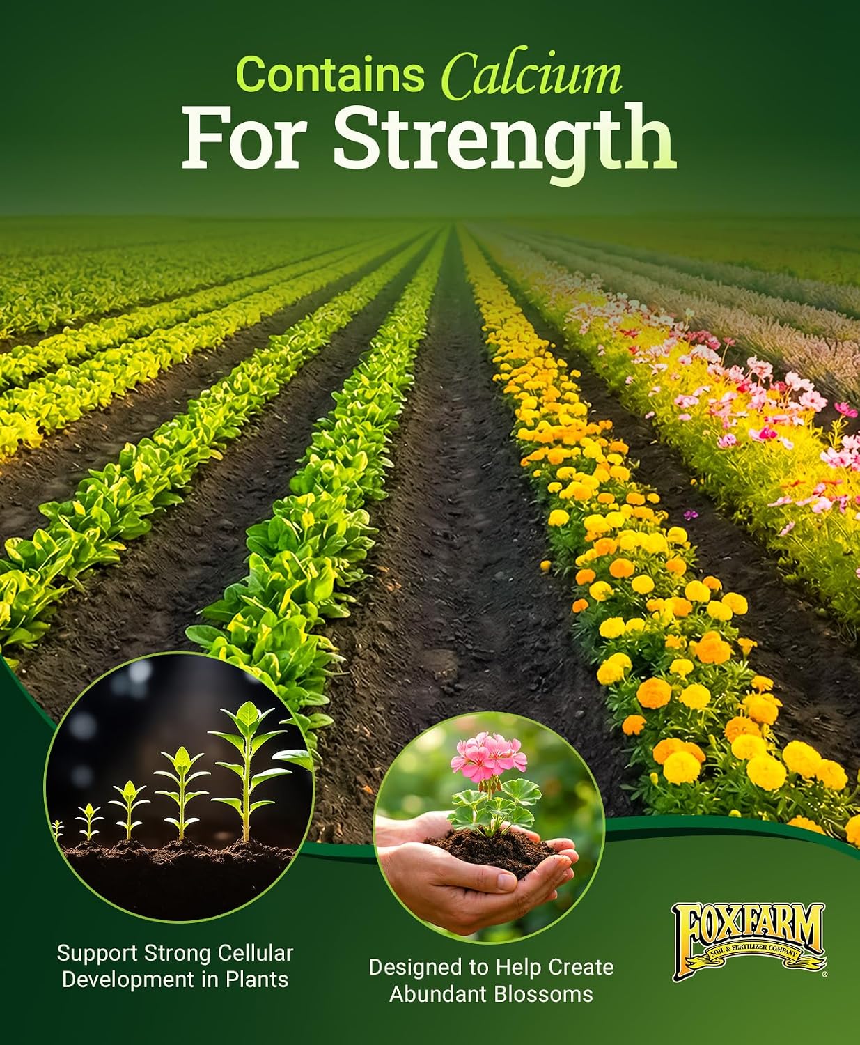 FoxFarm Happy Frog Steamed Bone Meal Fertilizer - Fine-Screened Phosphorus Fertilizer with Calcium & Mycorrhizal Fungi