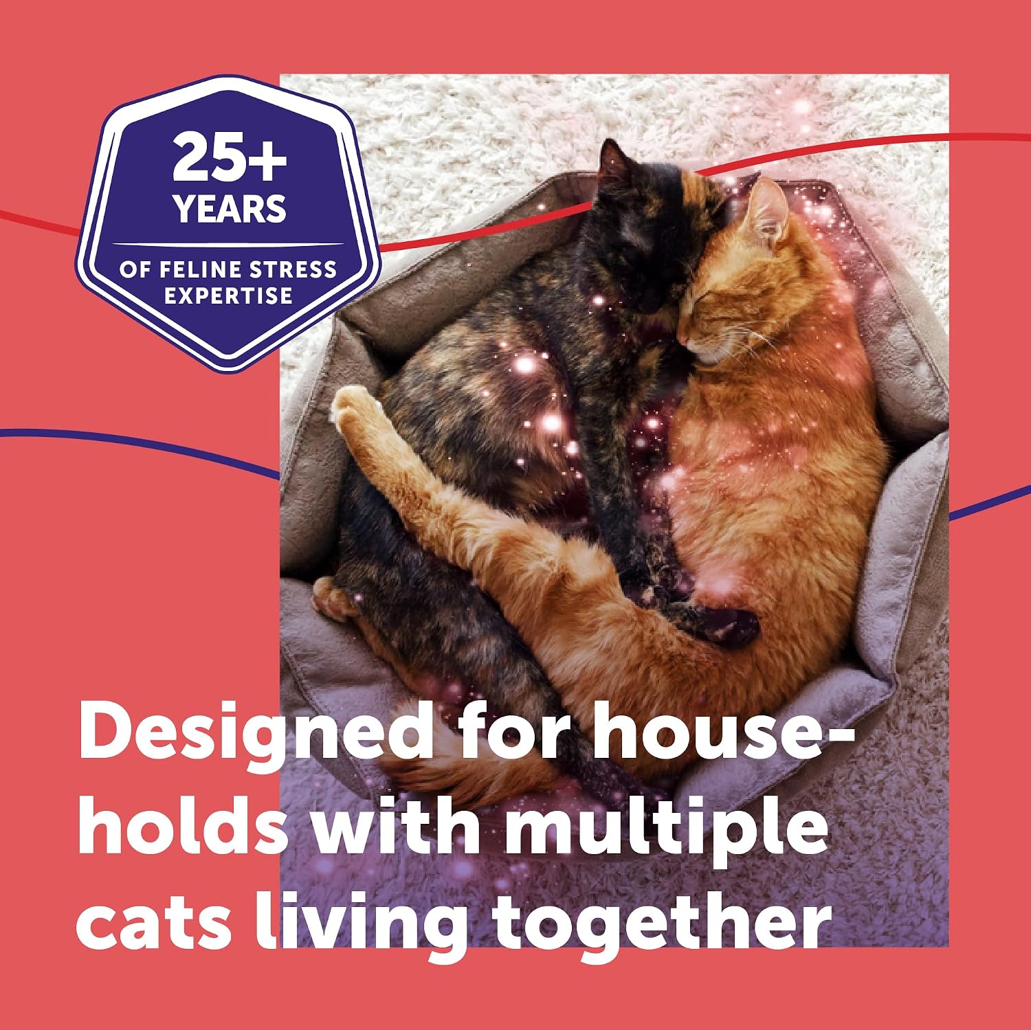 FELIWAY MultiCat Cat Calming Pheromone Diffuser Kit | Helps Reduce Fighting, Tension and Aggression Between Cats due to Stress for Multi‑Cat Homes, 30 Day Supply