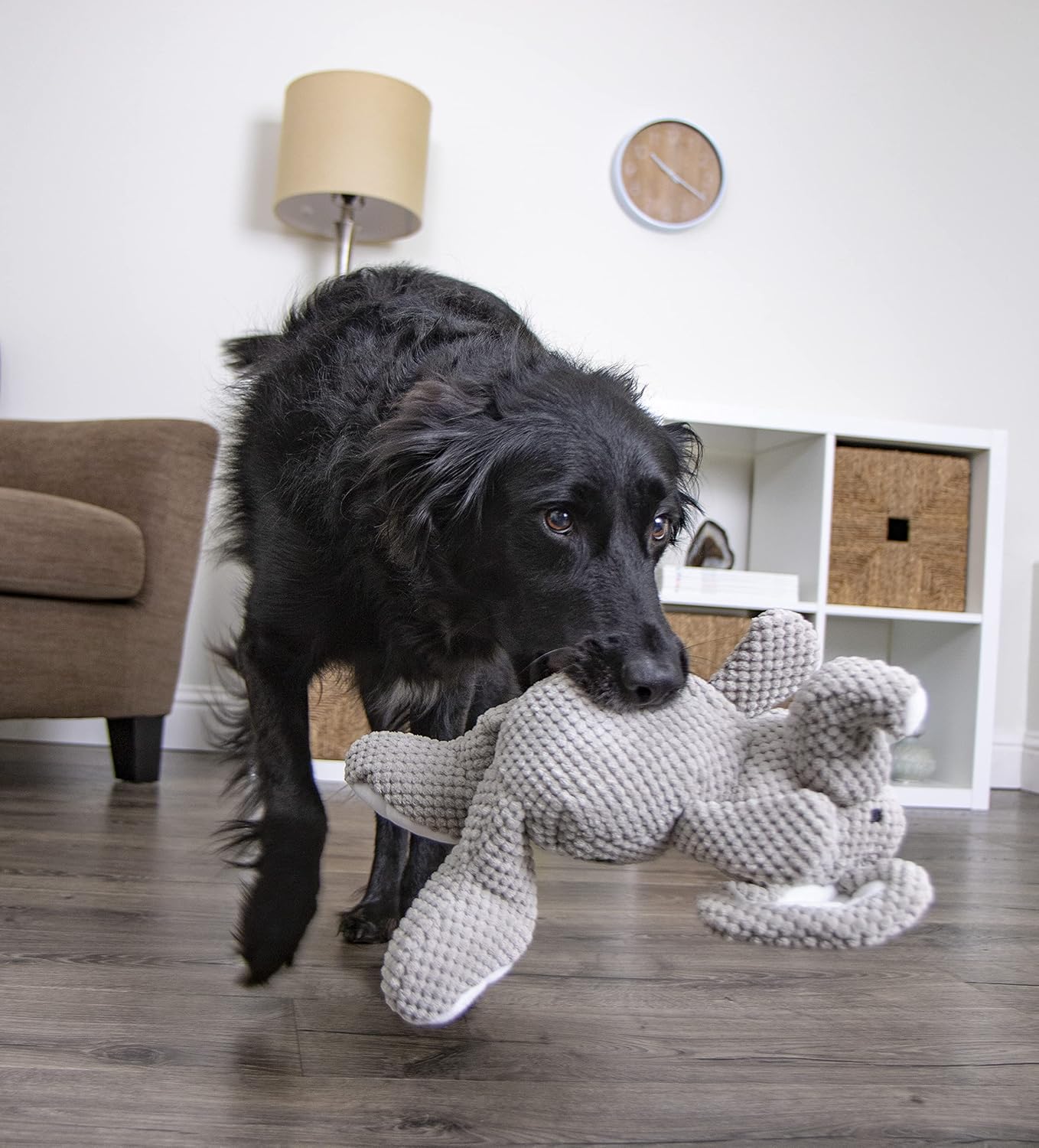 goDog Checkers Just for Me Skinny Cow Squeaky Plush Dog Toy, Chew Guard Technology - White, Mini