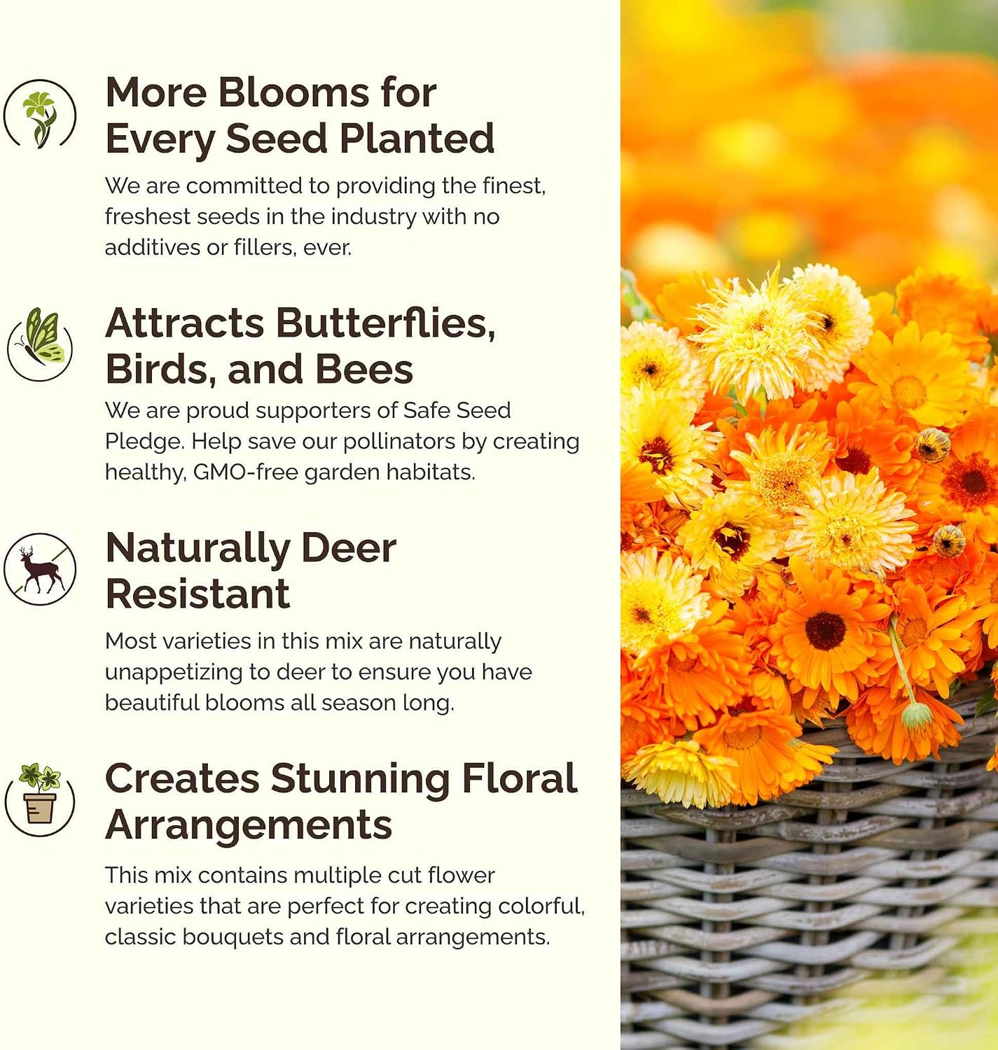 Eden Brothers All Perennial Wildflower Mixed Seeds for Planting, 1 lb, 480,000+ Seeds with Lupine, Shasta Daisy | Attracts Pollinators, Plant in Spring or Fall, Zones 3, 4, 5, 6, 7, 8, 9, 10
