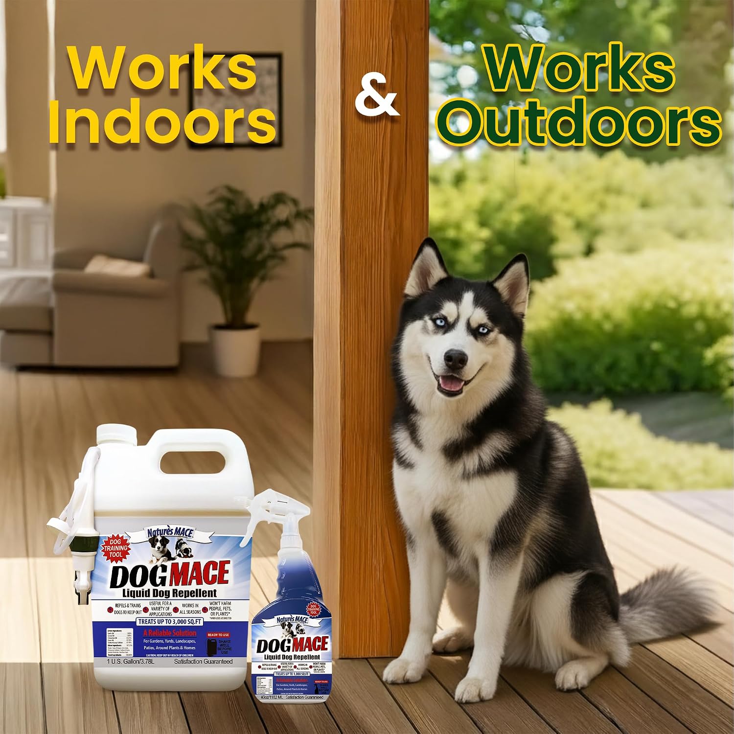 Nature's MACE Dog Mace Dog Repellent 1 Gallon Concentrate | Potty Training Tool Spray, Indoor & Outdoor, Pee Deterrent, Safe Around Kids, Pets, Garden & Plants, Treats 48,000 Sq. Ft.