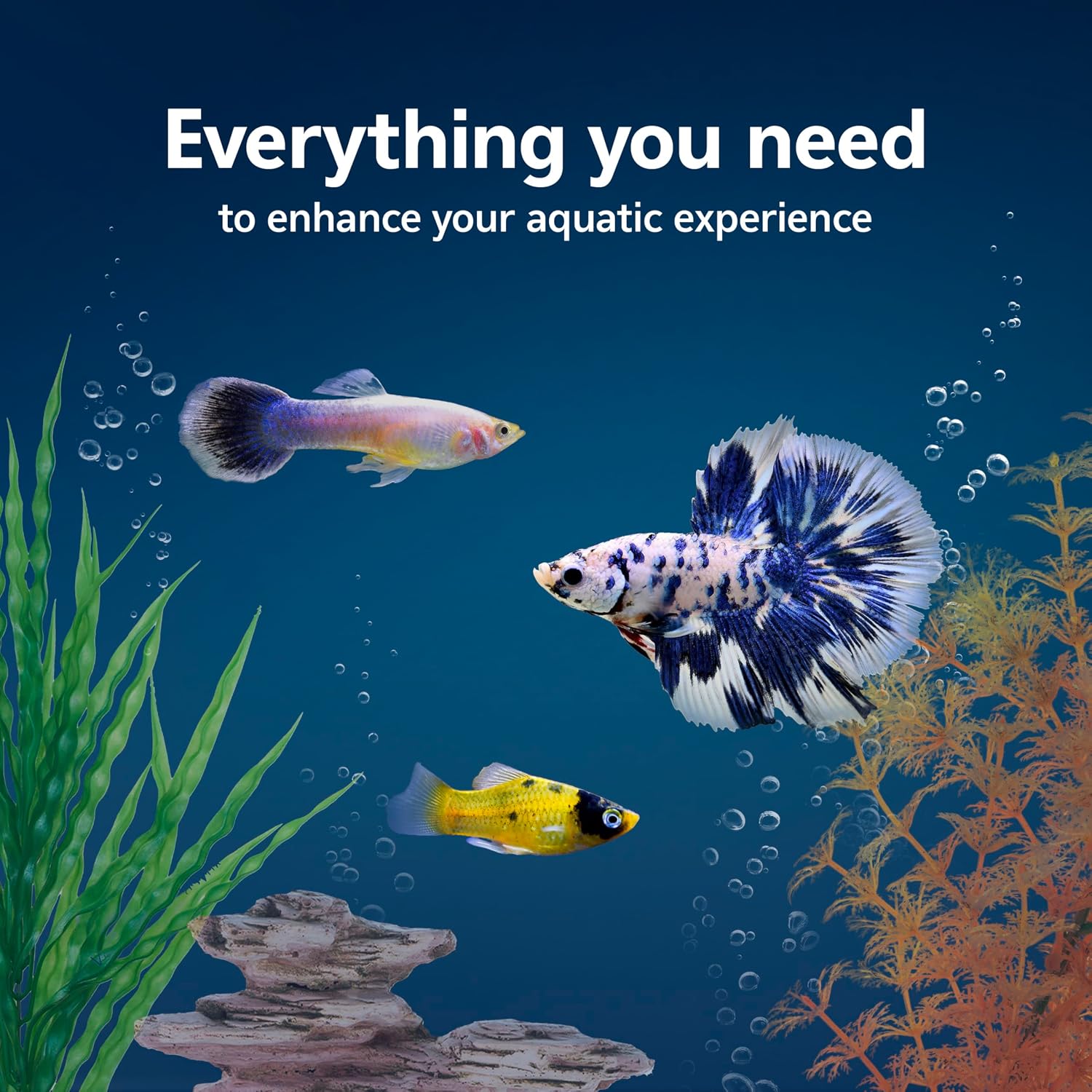 Aqueon Aquarium Fish Tank Starter Kit with LED Lighting 10 Gallon Fish Tank