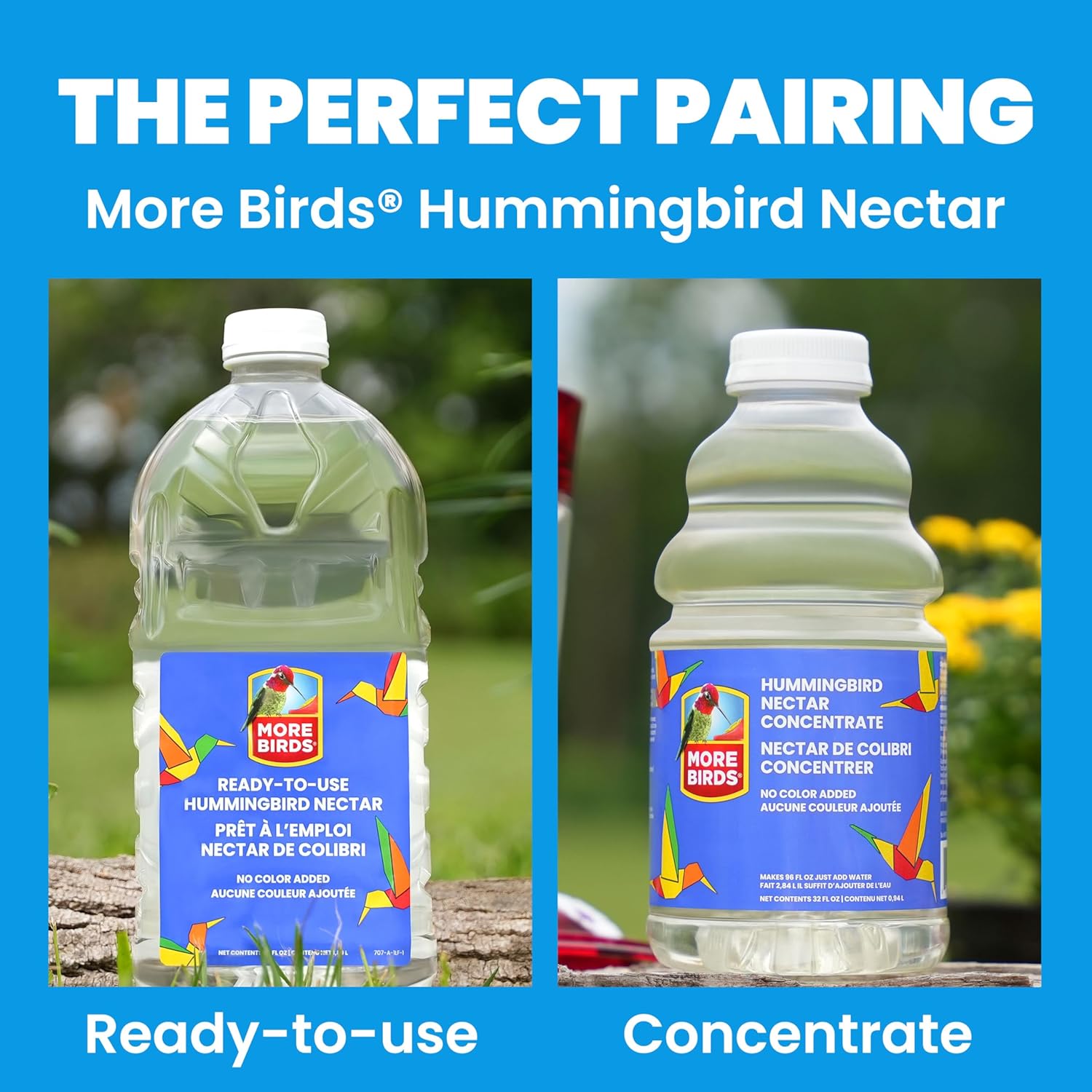 More Birds Bird Health+ Ruby Hummingbird Feeder, Glass Hummingbird Feeders for Outdoors, 4 Feeding Stations, 10 Ounces, Ruby Red