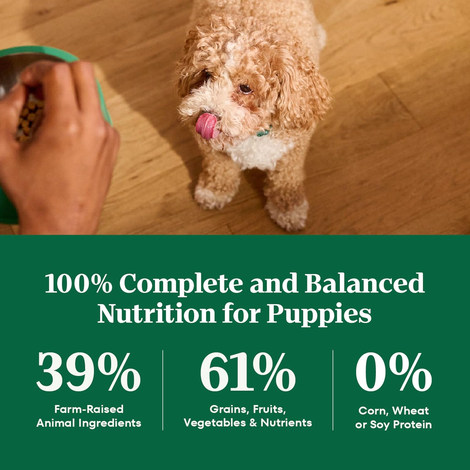 Nutro Natural Choice Puppy Dry Dog Food, Chicken & Brown Rice, 5 lb | Real chicken #1 ingredient, supports brain & eye development, healthy bones & muscles, non-GMO, made in USA