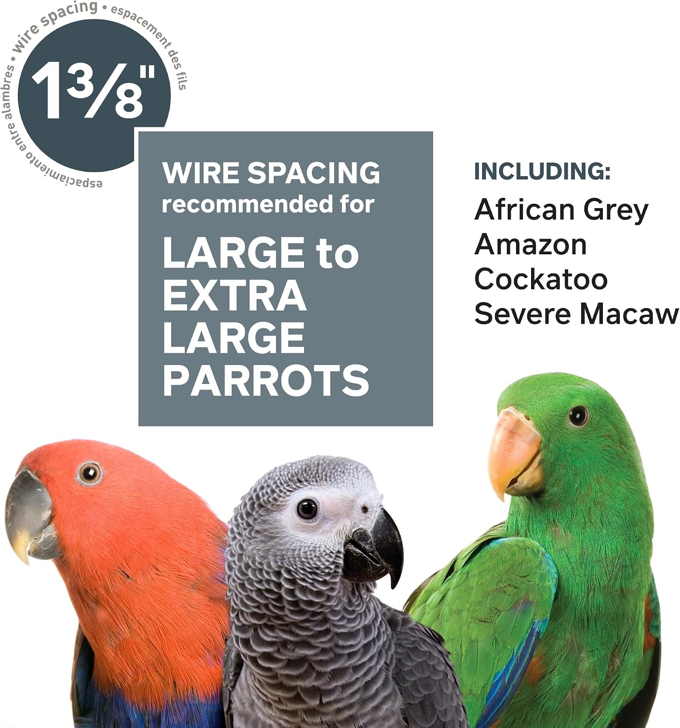 Prevue Pet Products Steel Bird Flight Cage with Wheels - Black, Large | Large Birdcage for Parakeets, Canaries, Finches, Cockatiels, Lovebirds, & Green Cheeks, Metal Standing Birdcage