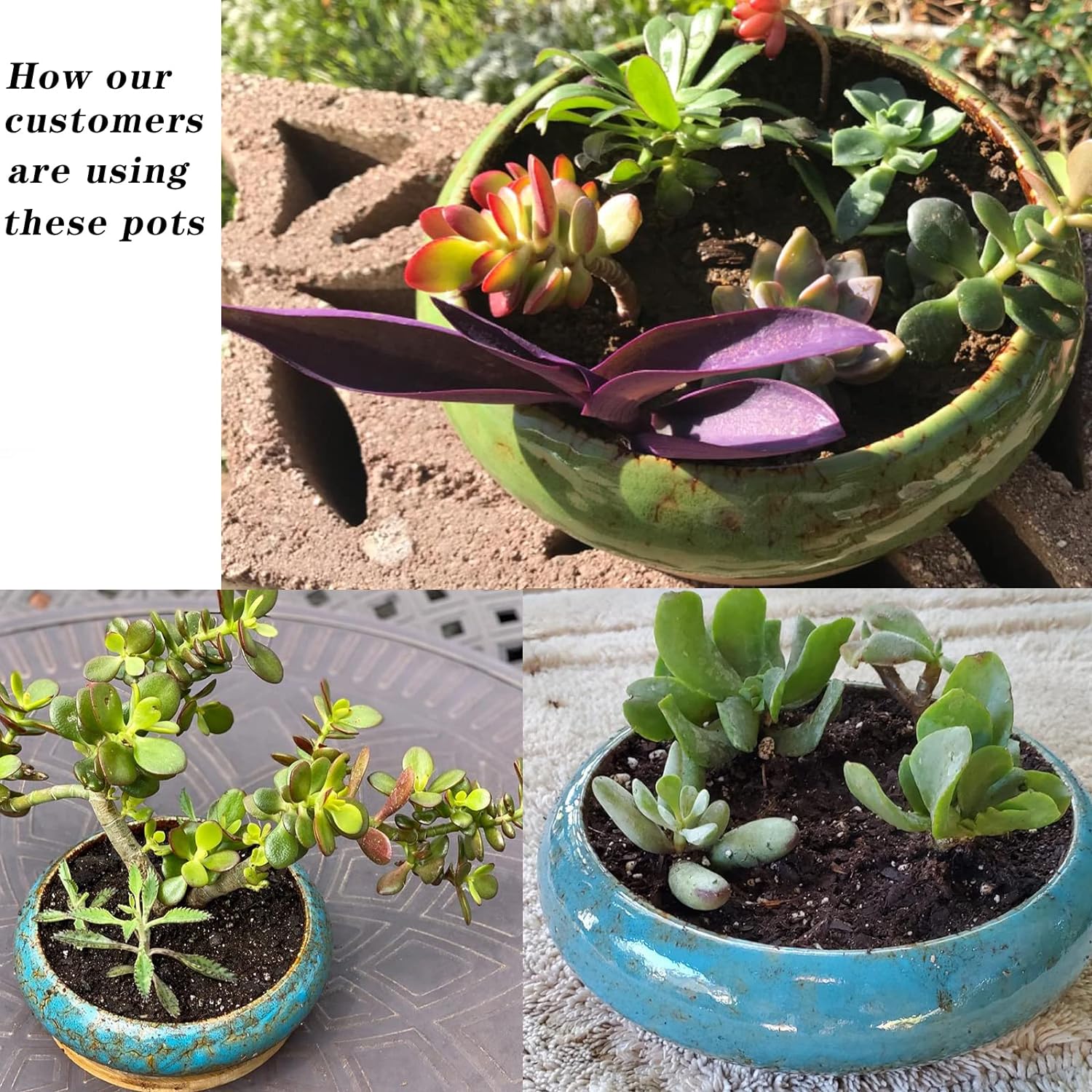 Succulent Pot, 10'' Ceramic Pots for Indoor Plant Shallow Succulent Planter